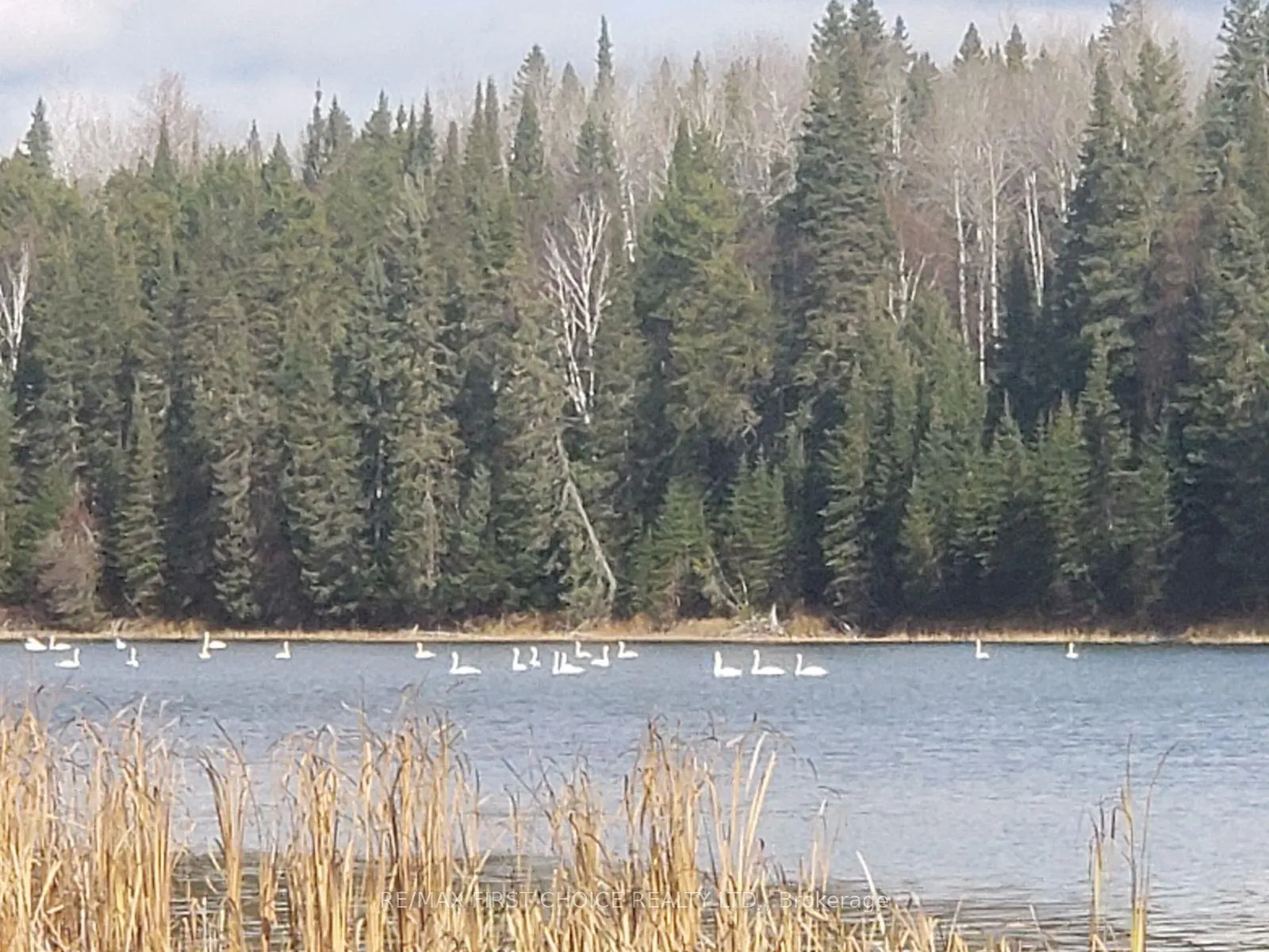 Photo 10 of Parcels 30223 & 29840, Kenora Remote Area, Dinorwic — HOMEH