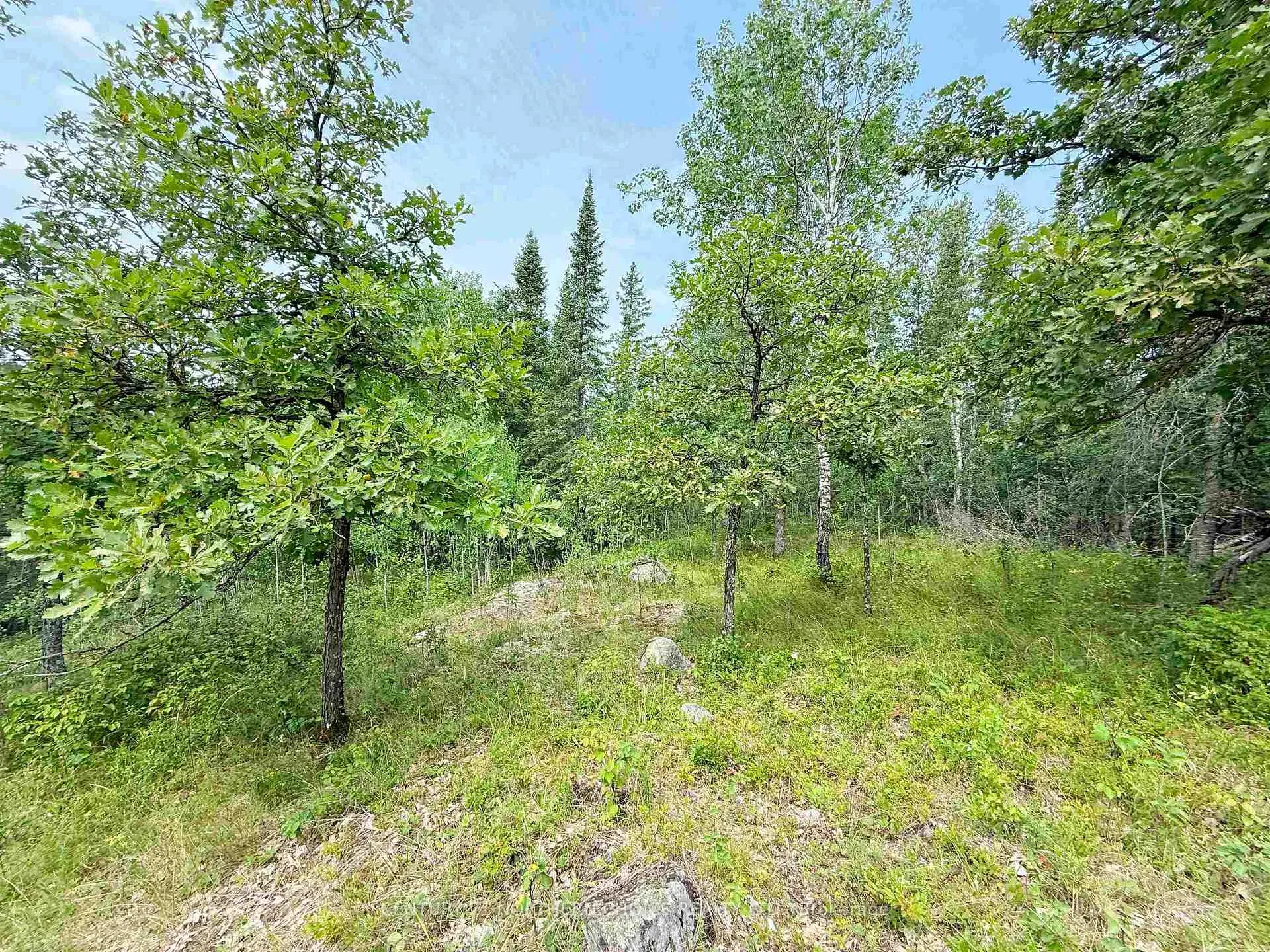 Photo 14 of 496 Coney Island, Kenora, Coney Island — HOMEH