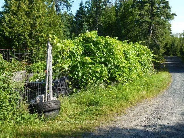 Photo 47 of 164 Doves Road, Kenora Remote Area, Oxdrift — HOMEH