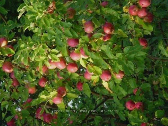 Photo 53 of 164 Doves Road, Kenora Remote Area, Oxdrift — HOMEH
