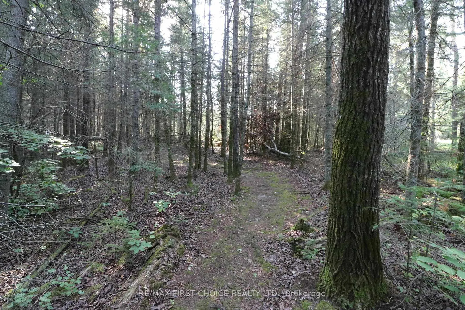 Photo 48 of S882 Winnipeg River, Kenora Remote Area, Minaki-Winnepeg River — HOMEH