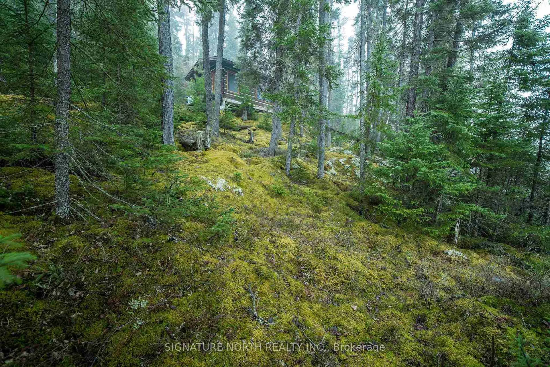 Photo 2 of 1 Erdmann Island, Rainy River Remote Area — HOMEH