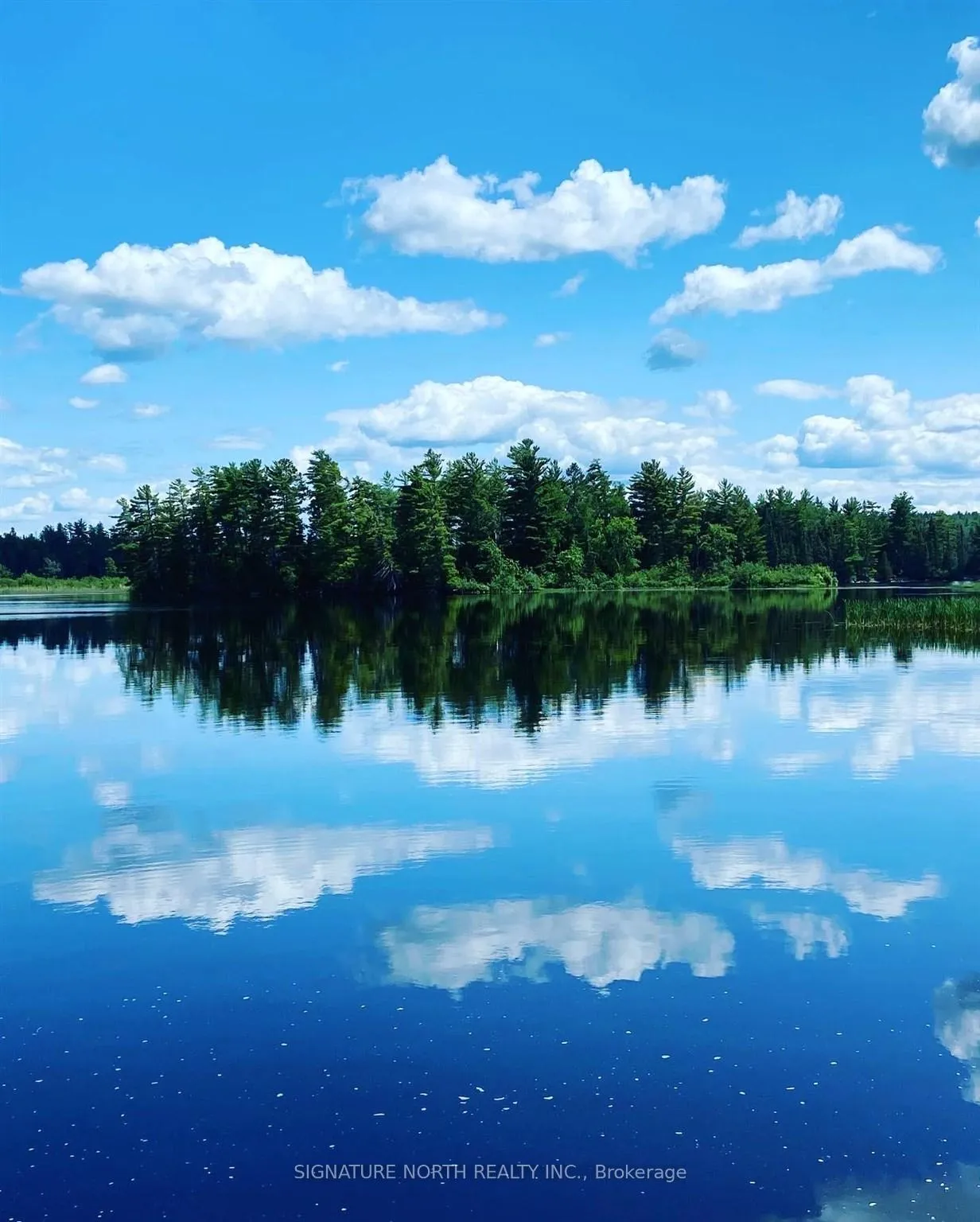 Photo 29 of 1 Erdmann Island, Rainy River Remote Area — HOMEH