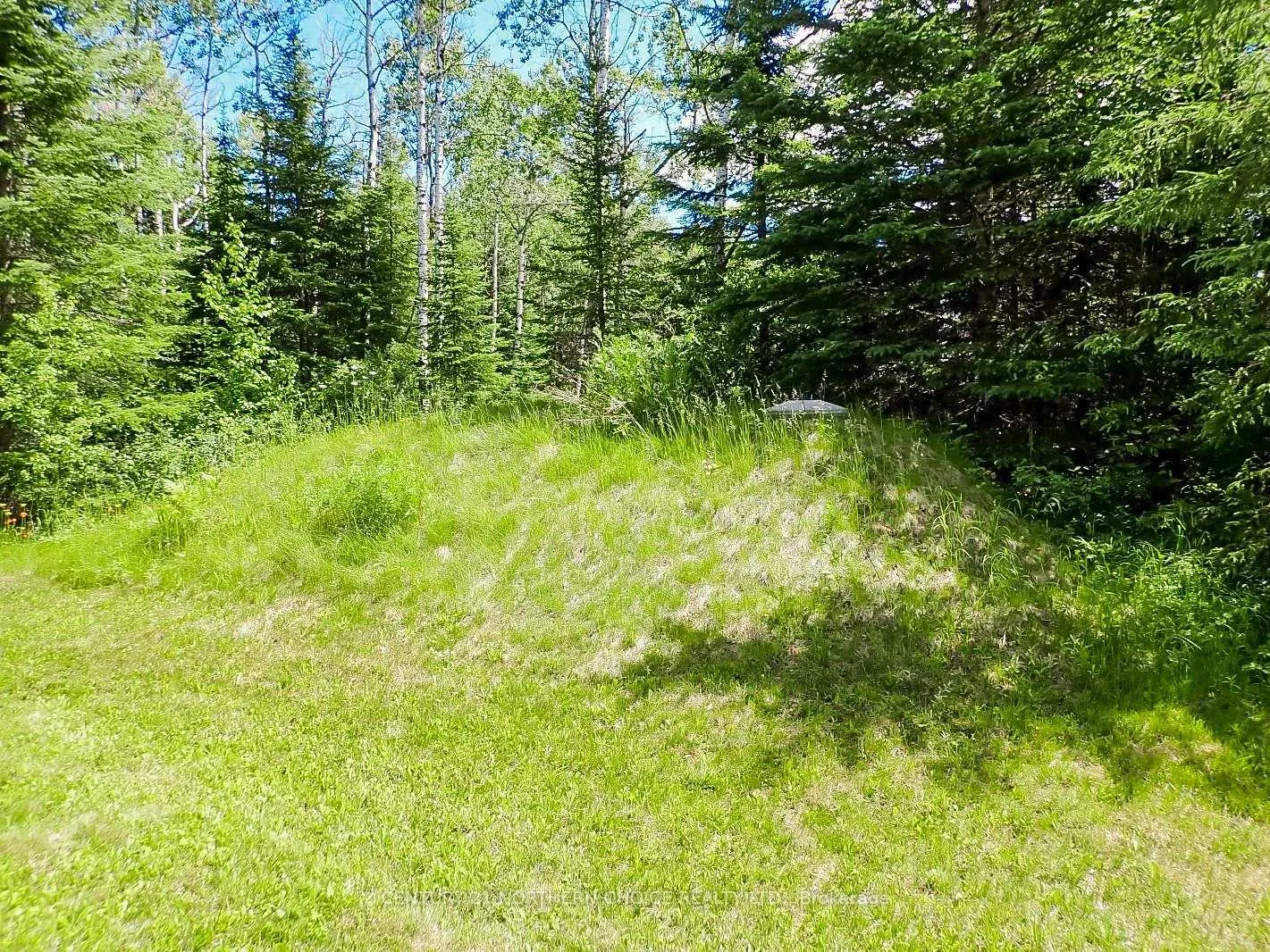 Photo 39 of Lot 6 Hawk Lake Road, Kenora Remote Area, East Of Kenora — HOMEH