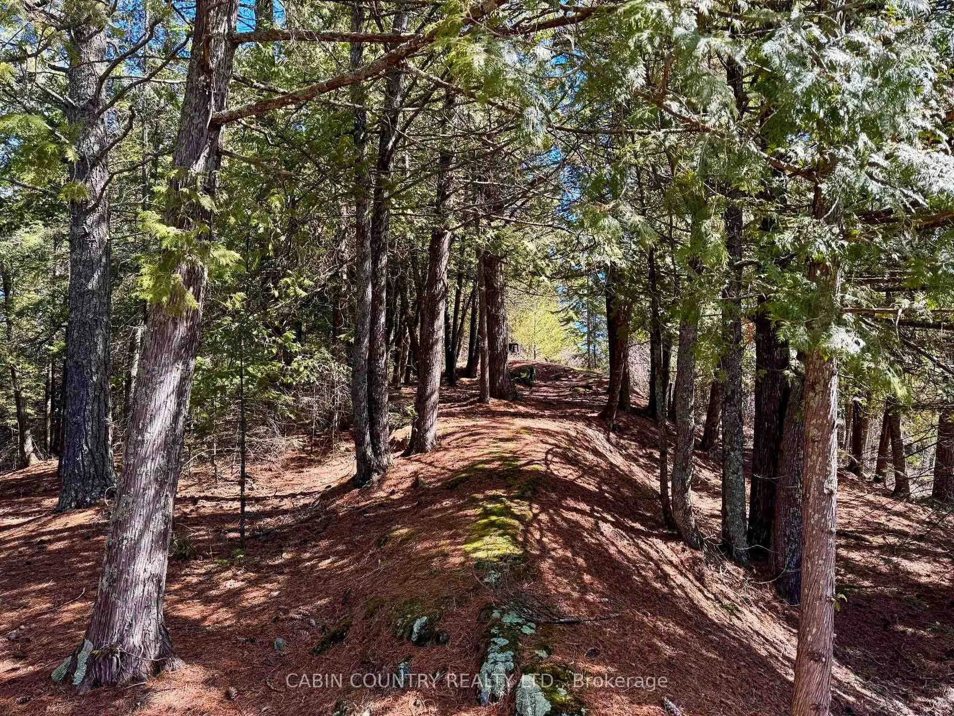 Photo 15 of Fantasy Island, Kenora Remote Area, Lake of the Woods North — HOMEH