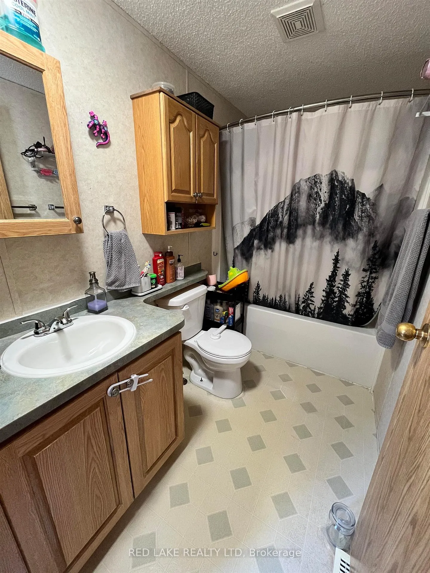 Photo 17 of 7 Short Forest Drive, Ear Falls — HOMEH