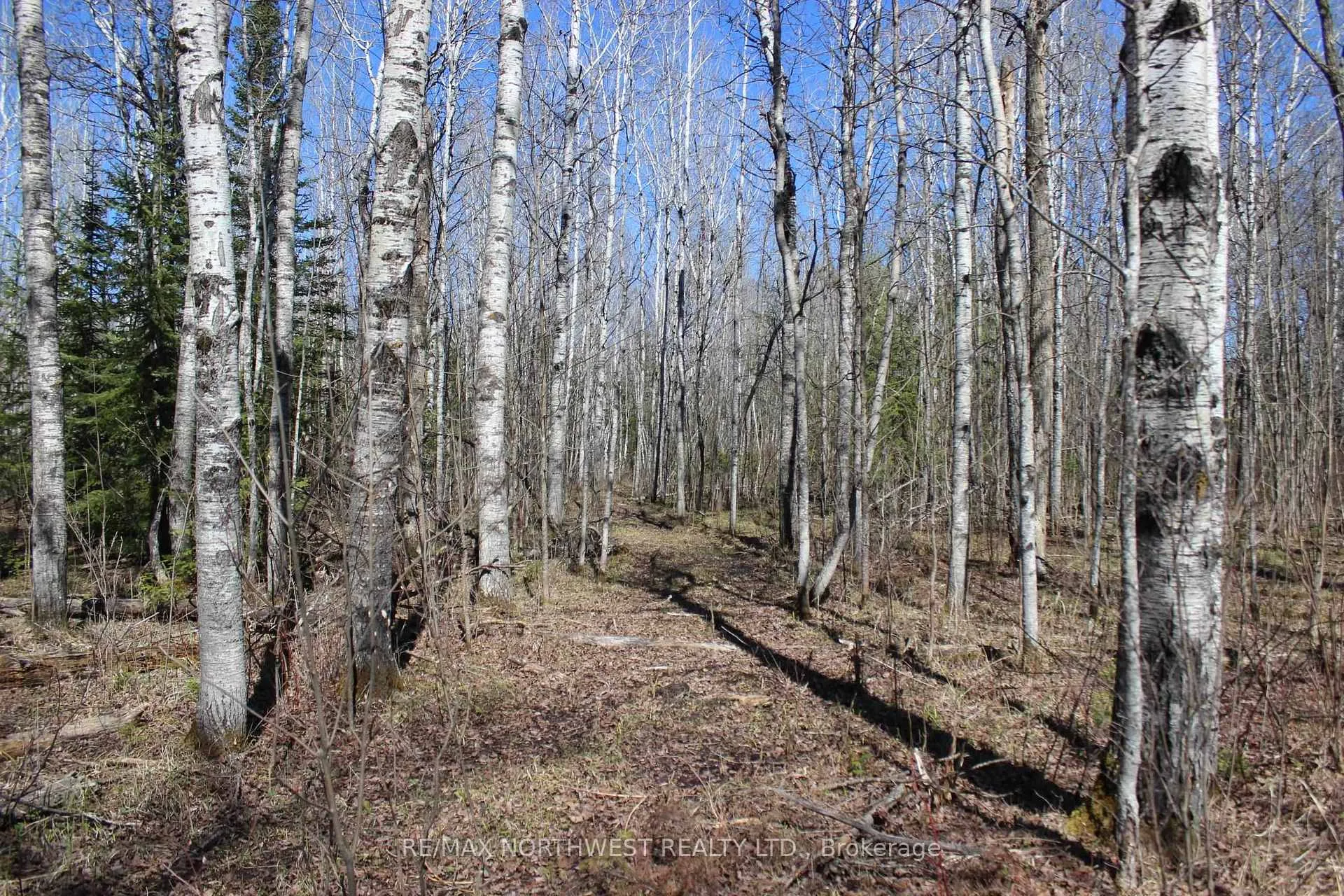 Photo 38 of PCL 19740 Johnson Rd, Rainy River Remote Area — HOMEH
