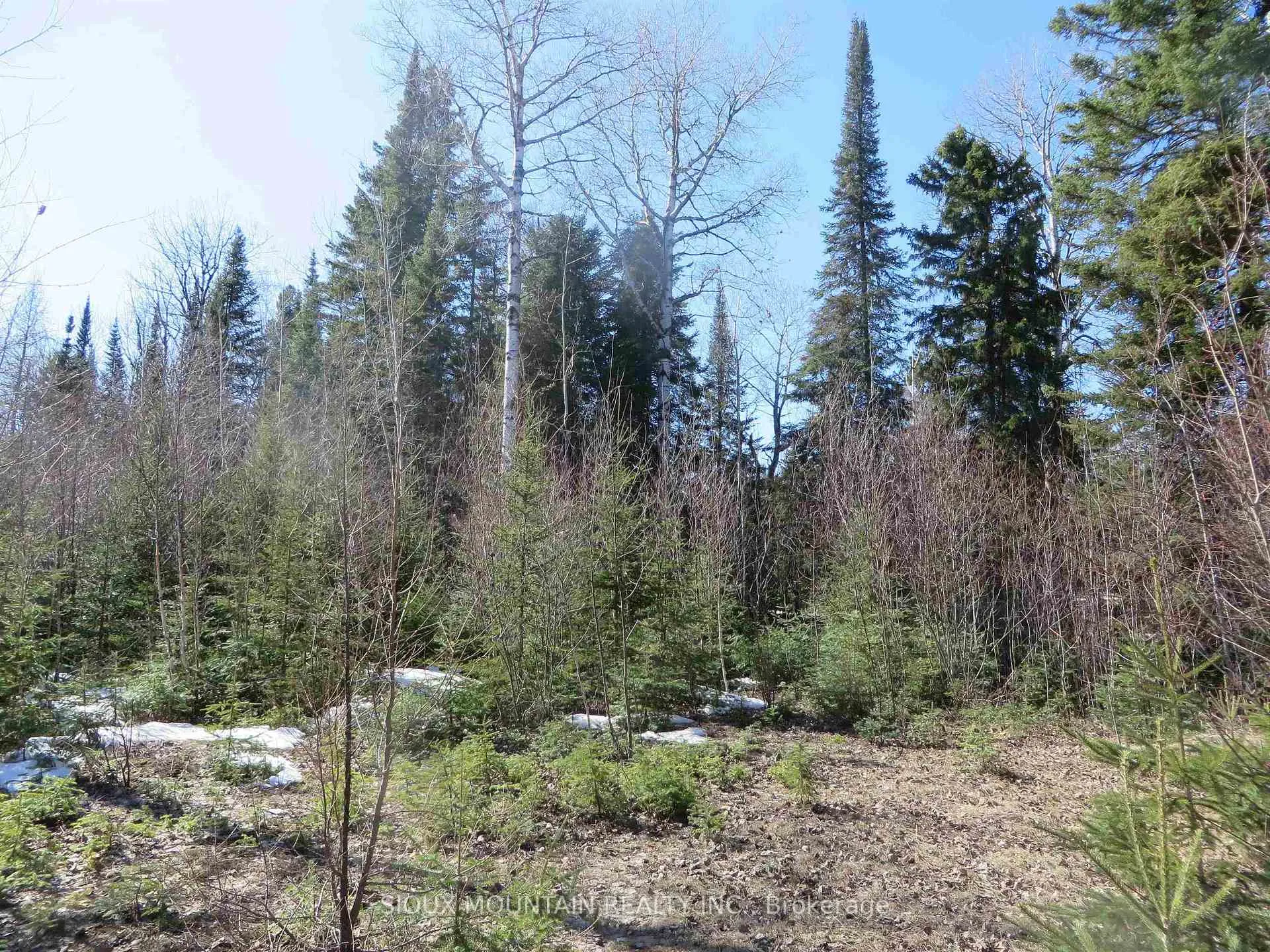 Photo 4 of 92 Abram Lake Road, Sioux Lookout — HOMEH