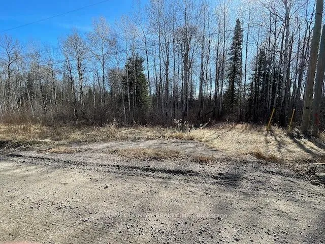 Photo 1 of 191 Lakeview Road, Dryden, Thunder Lake — HOMEH