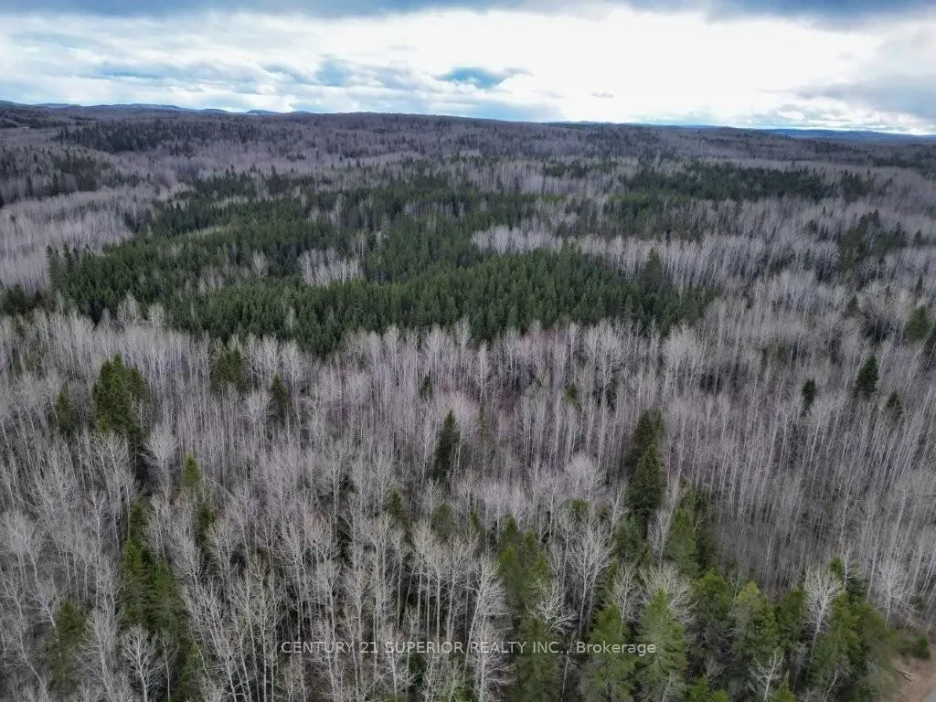 Photo 19 of N 1/2 L 10 Centre Road, Thunder Bay Remote Area, Forbes — HOMEH
