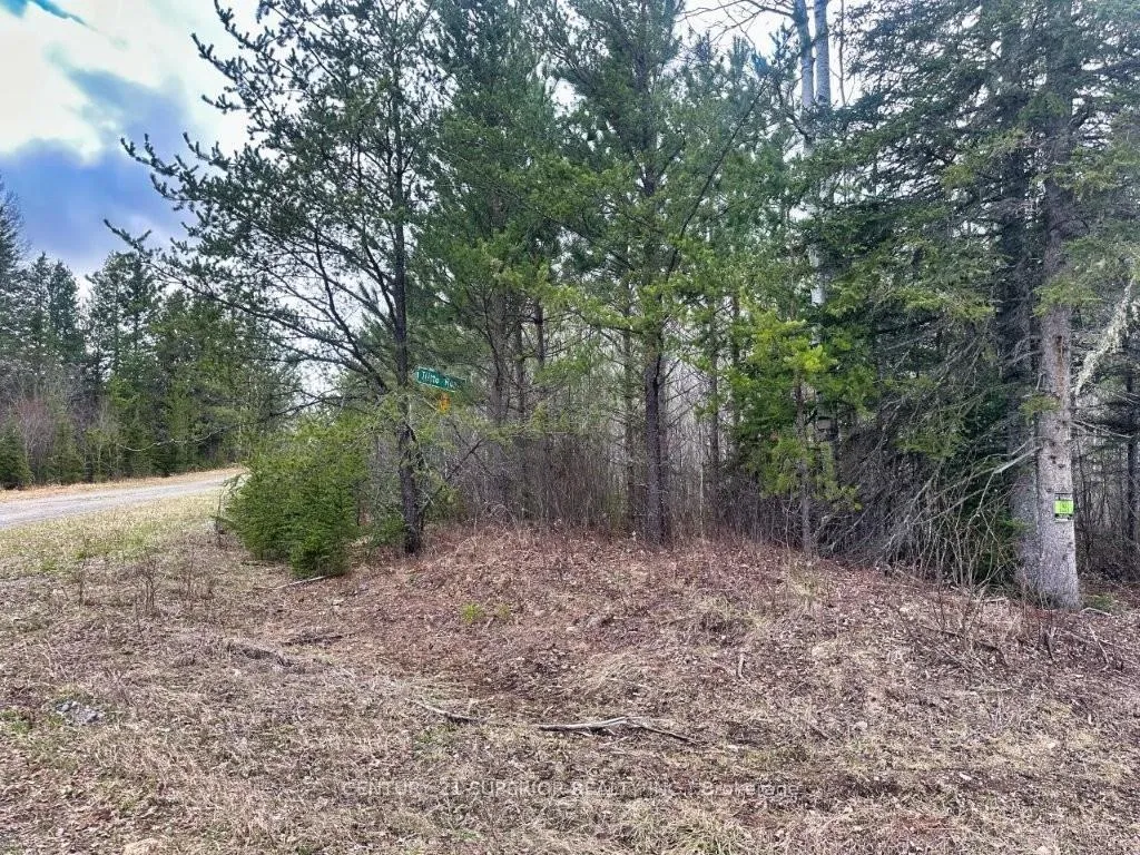 Photo 45 of N 1/2 L 10 Centre Road, Thunder Bay Remote Area, Forbes — HOMEH