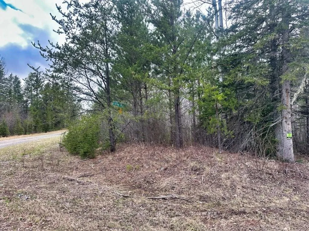 Photo 47 of N 1/2 L 10 Centre Road, Thunder Bay Remote Area, Forbes — HOMEH