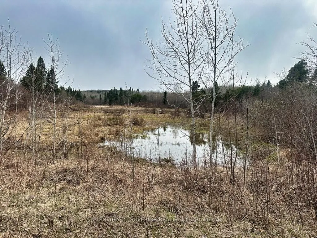 Photo 49 of N 1/2 L 10 Centre Road, Thunder Bay Remote Area, Forbes — HOMEH