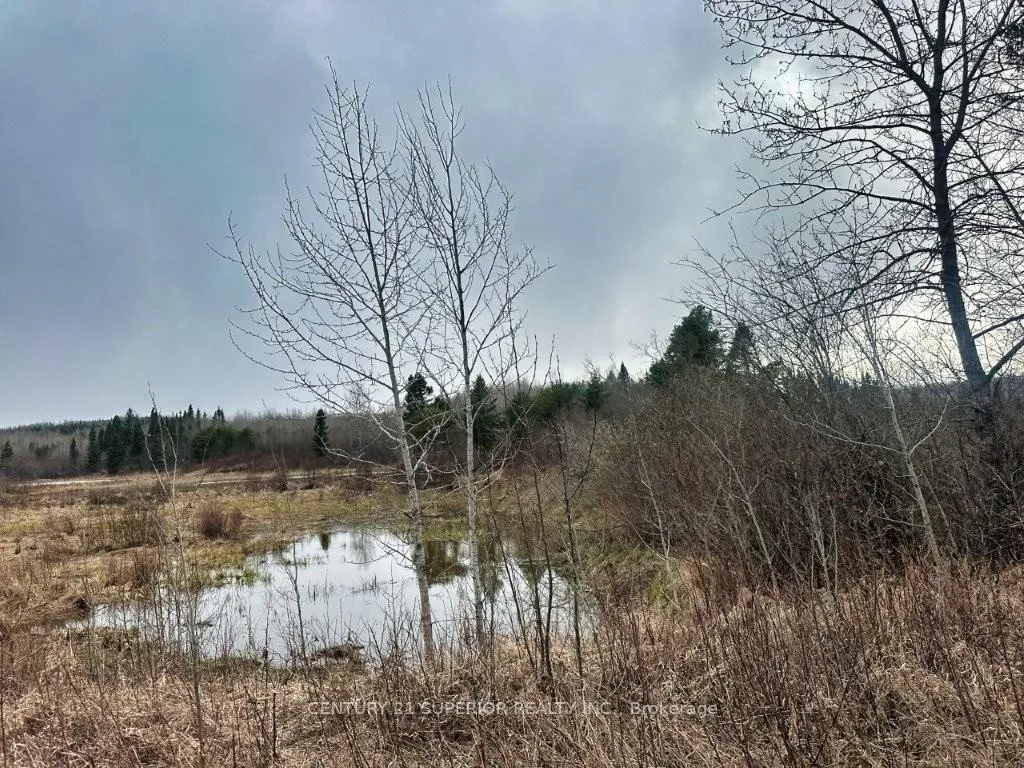 Photo 51 of N 1/2 L 10 Centre Road, Thunder Bay Remote Area, Forbes — HOMEH