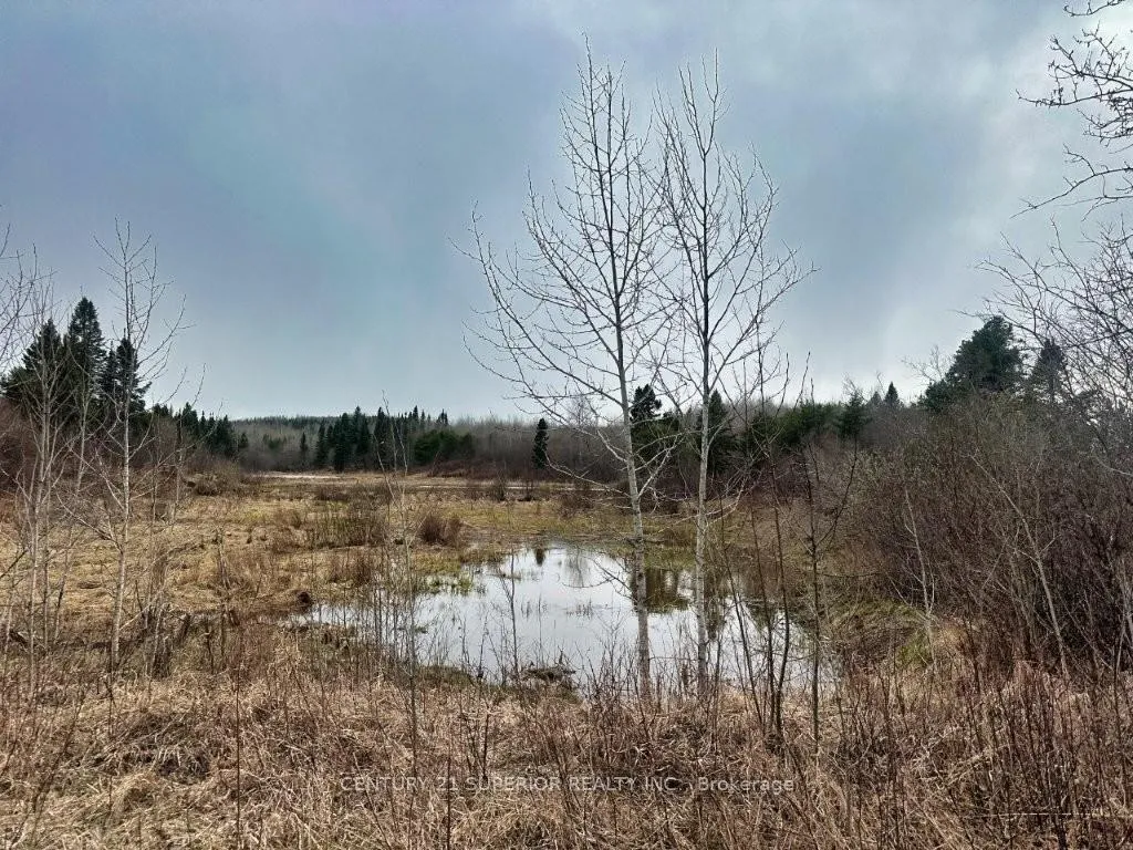 Photo 53 of N 1/2 L 10 Centre Road, Thunder Bay Remote Area, Forbes — HOMEH