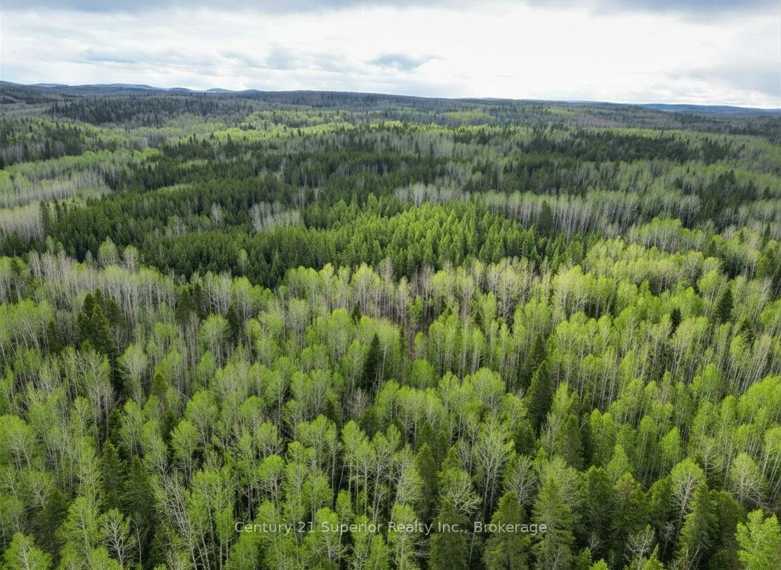 Photo 24 of N 1/2 L 10 Centre Road, Thunder Bay Remote Area, Forbes — HOMEH