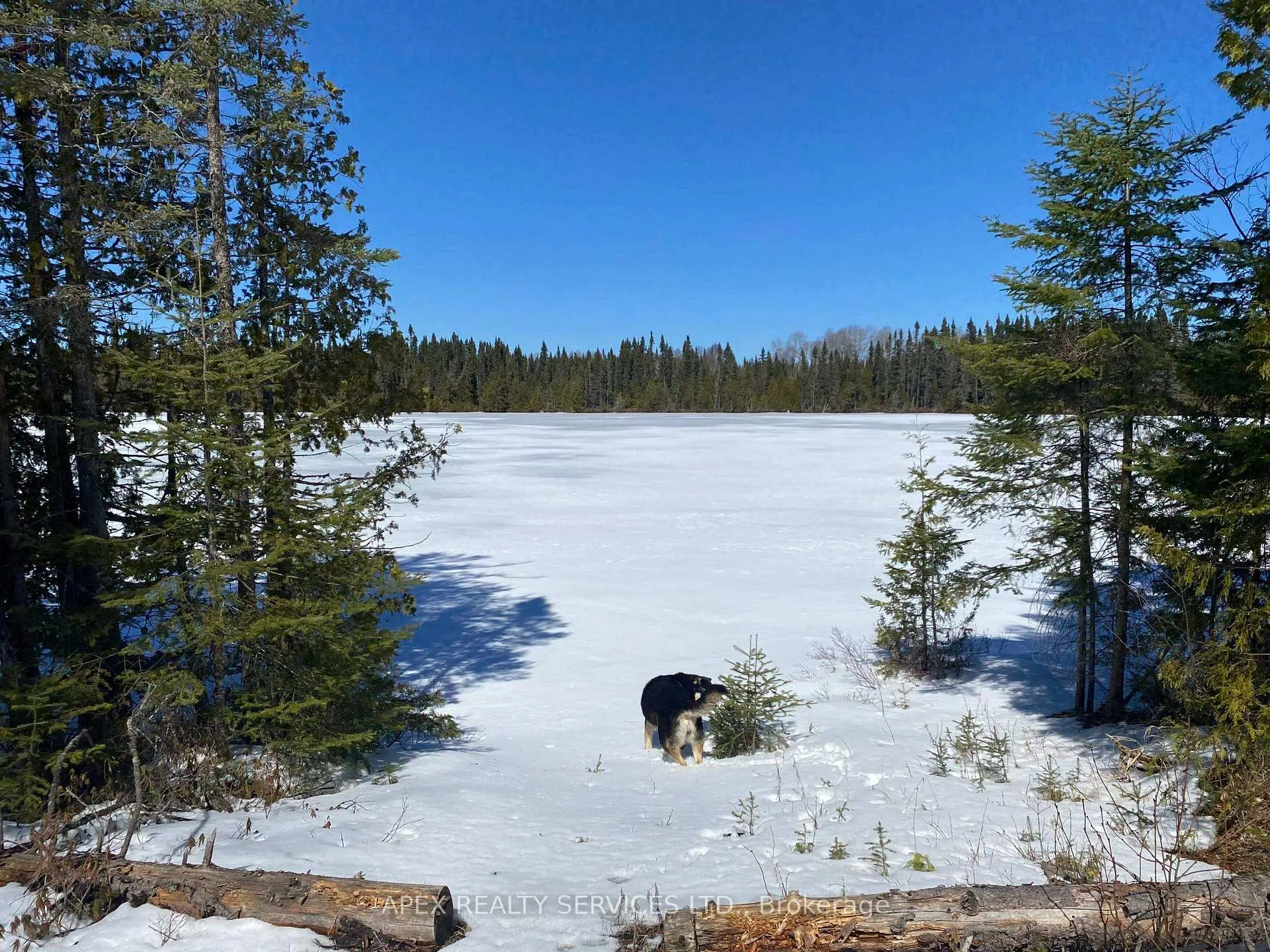 Photo 2 of Parcel 11 Con 6, Thunder Bay Remote Area, Marks — HOMEH