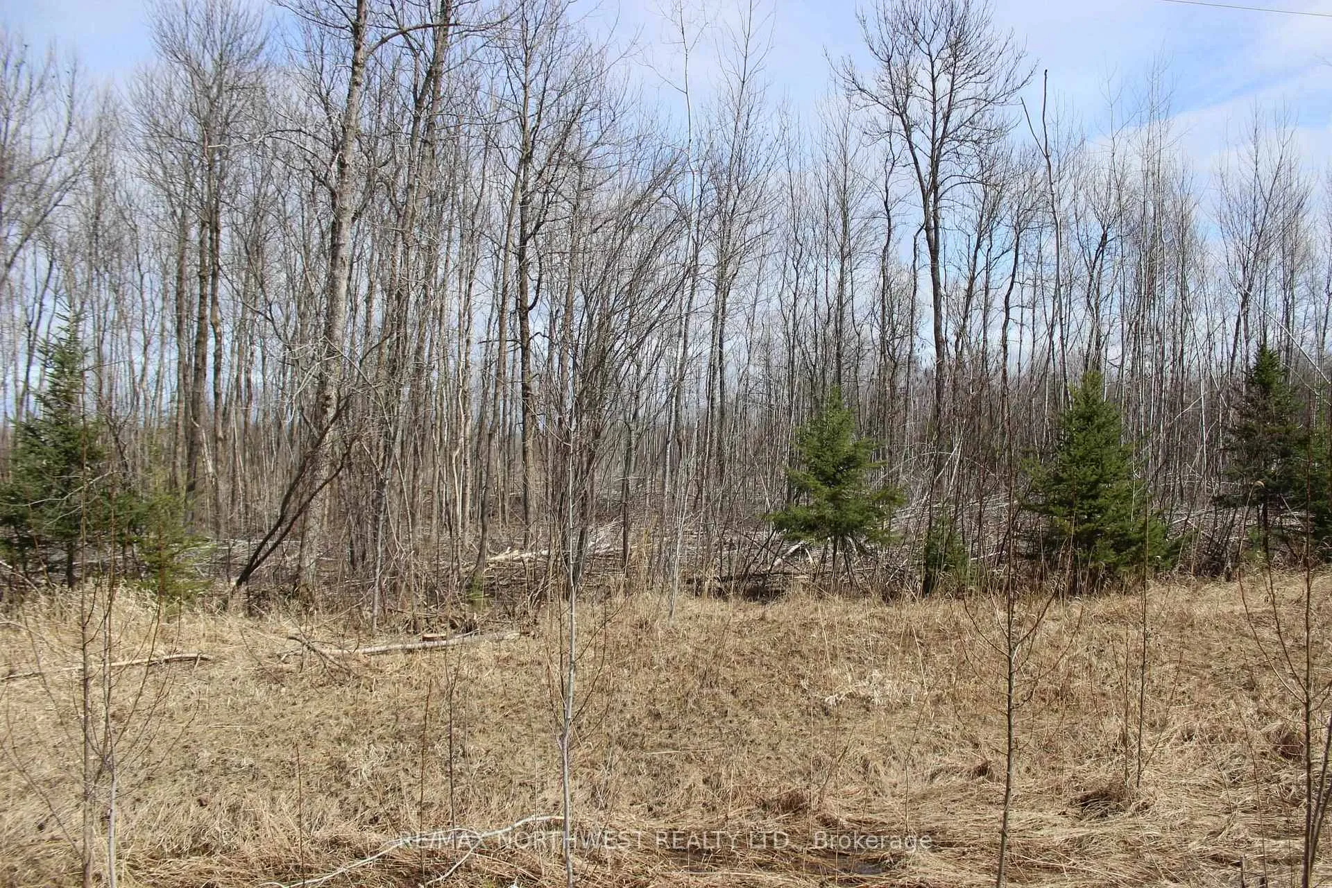 Photo 20 of 360 River Rd, Dawson — HOMEH