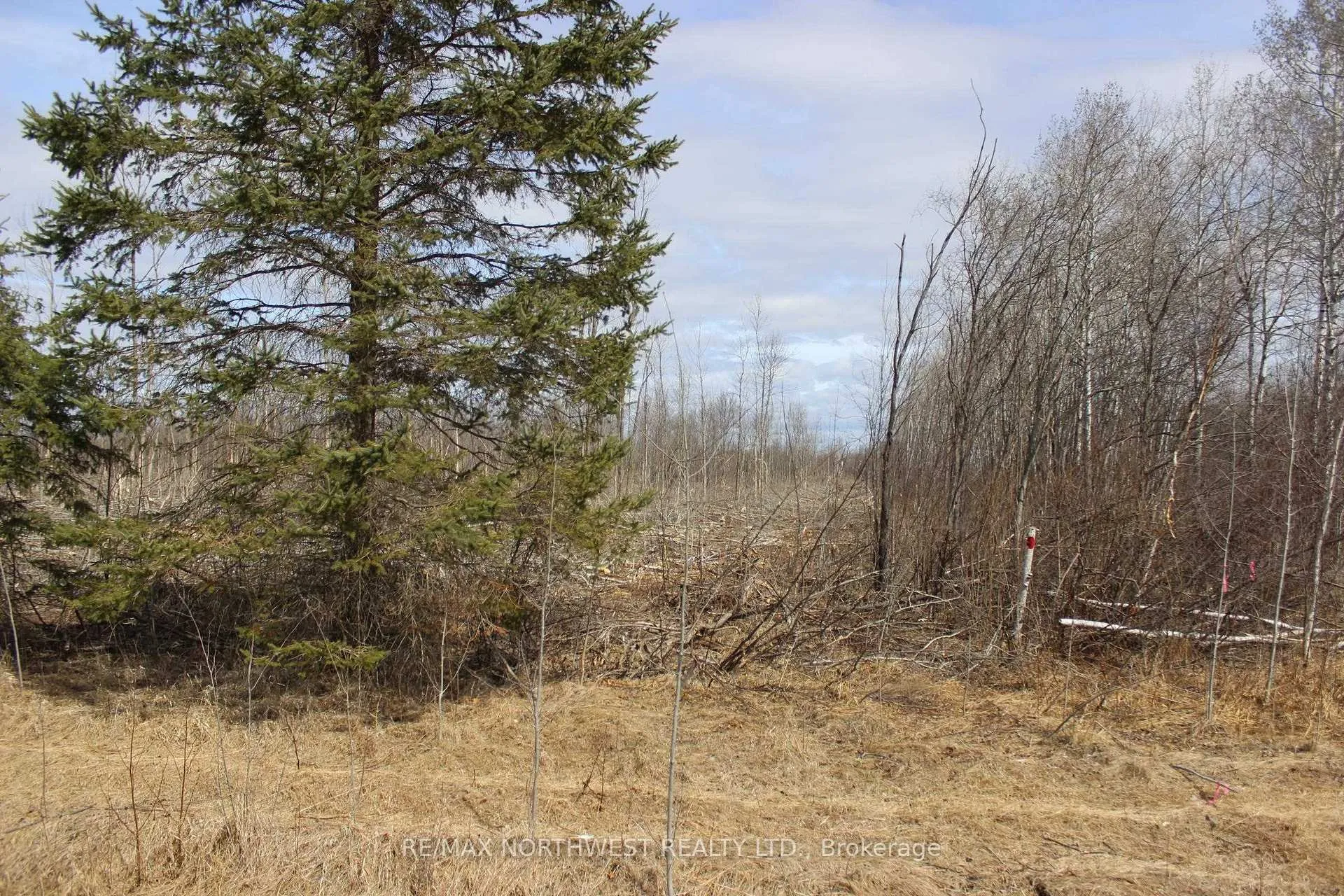 Photo 25 of 360 River Rd, Dawson — HOMEH