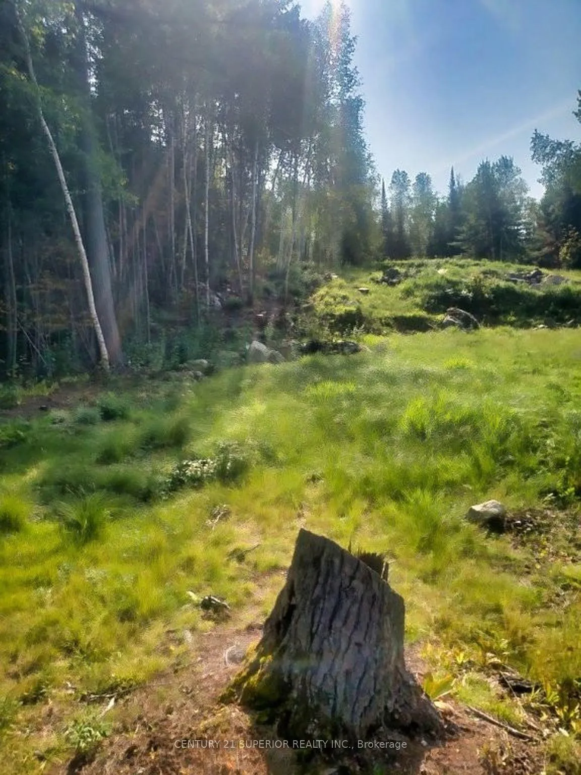 Photo 9 of 6 Bergman Road, Rainy River Remote Area — HOMEH