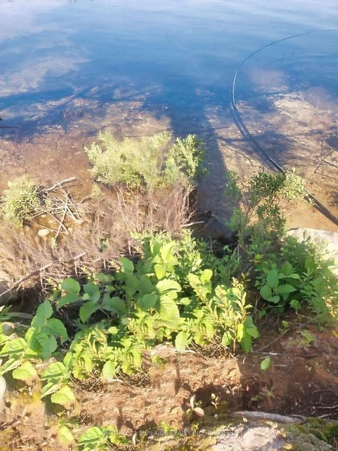 Photo 40 of 6 Bergman Road, Rainy River Remote Area — HOMEH