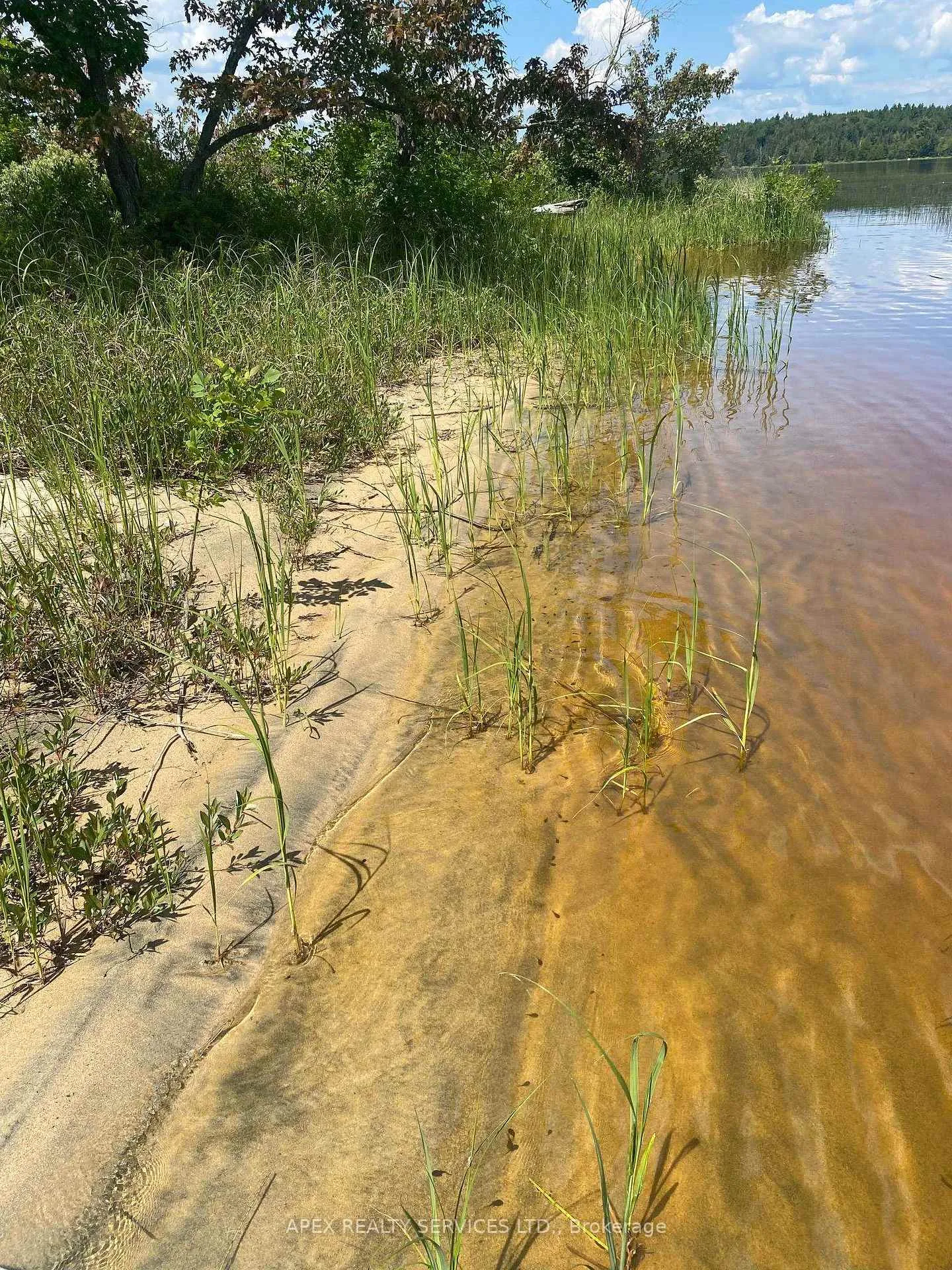 Photo 5 of Parcel 26057, Rainy River Remote Area — HOMEH
