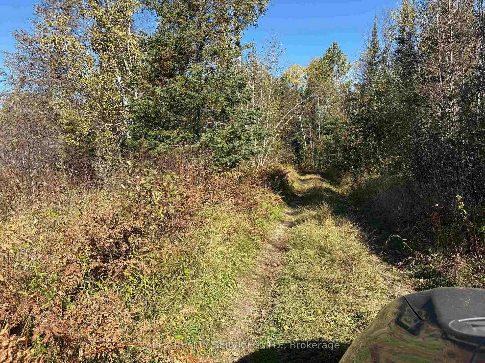 Photo 14 of Parcel 26057, Rainy River Remote Area — HOMEH