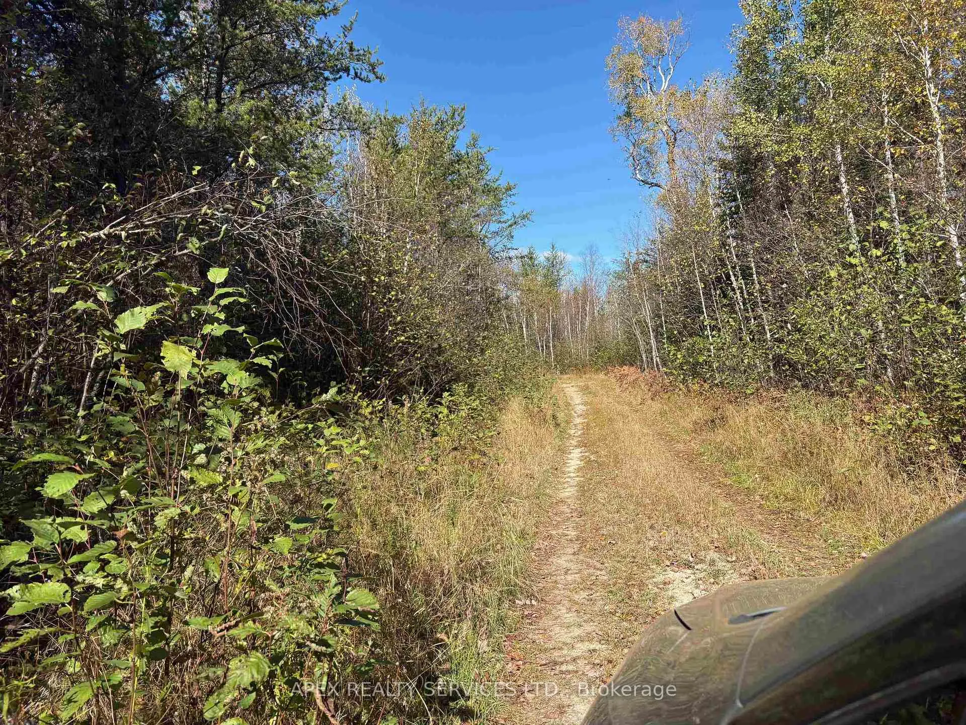 Photo 15 of Parcel 26057, Rainy River Remote Area — HOMEH