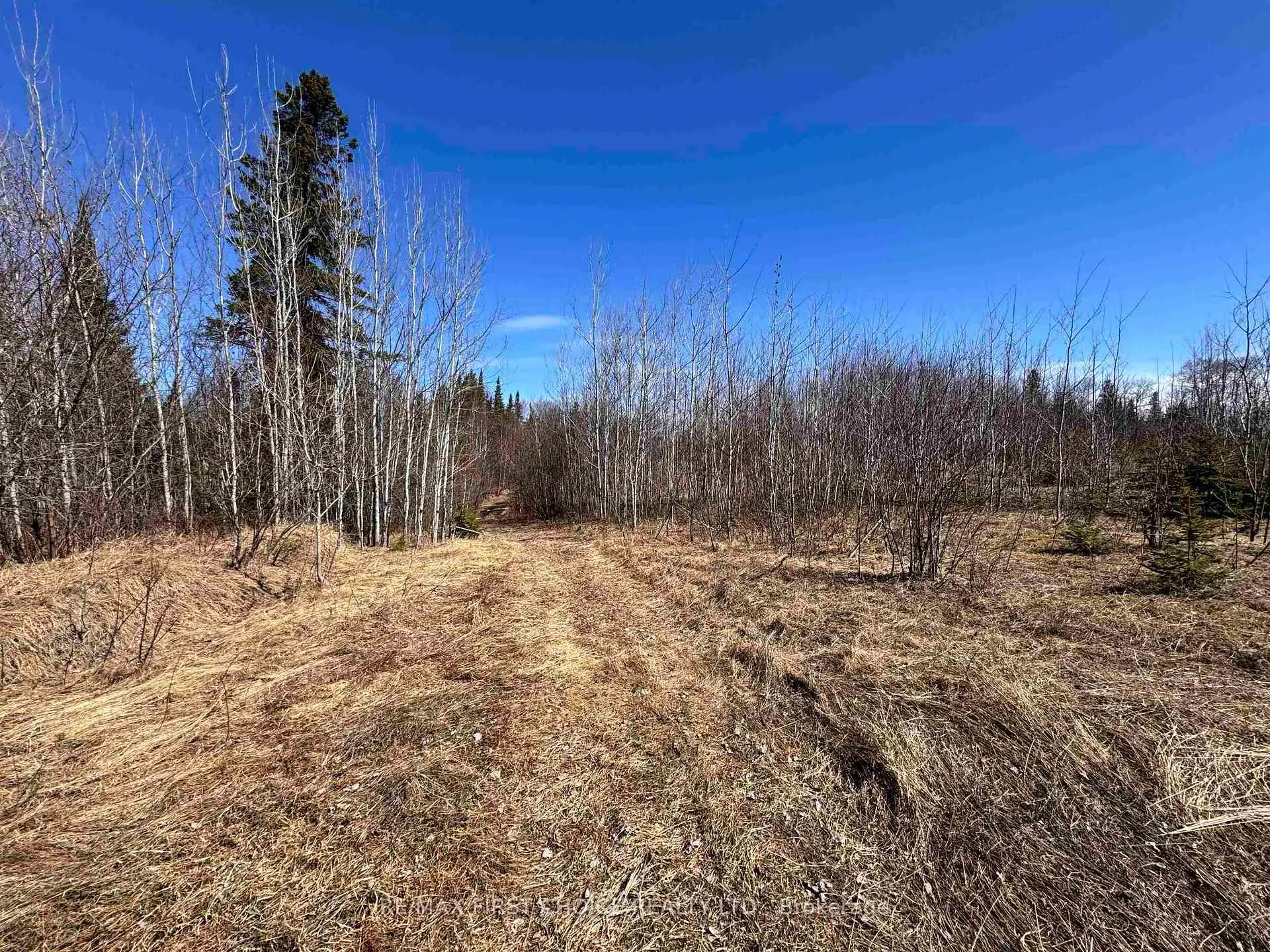 Photo 7 of 66 Hwy 105, Red Lake — HOMEH