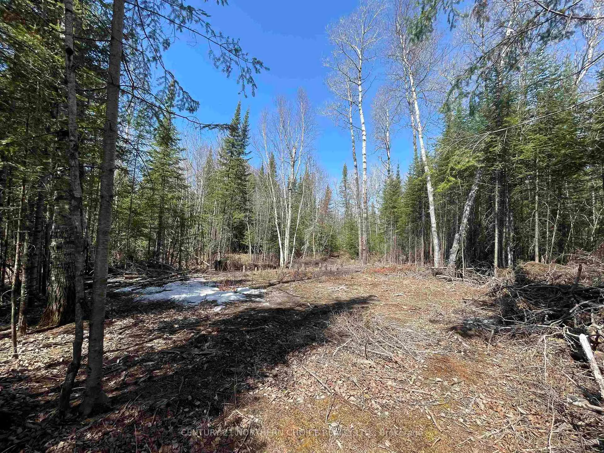 Photo 5 of 351 Thunder Lake Road, Dryden, Thunder Lake — HOMEH