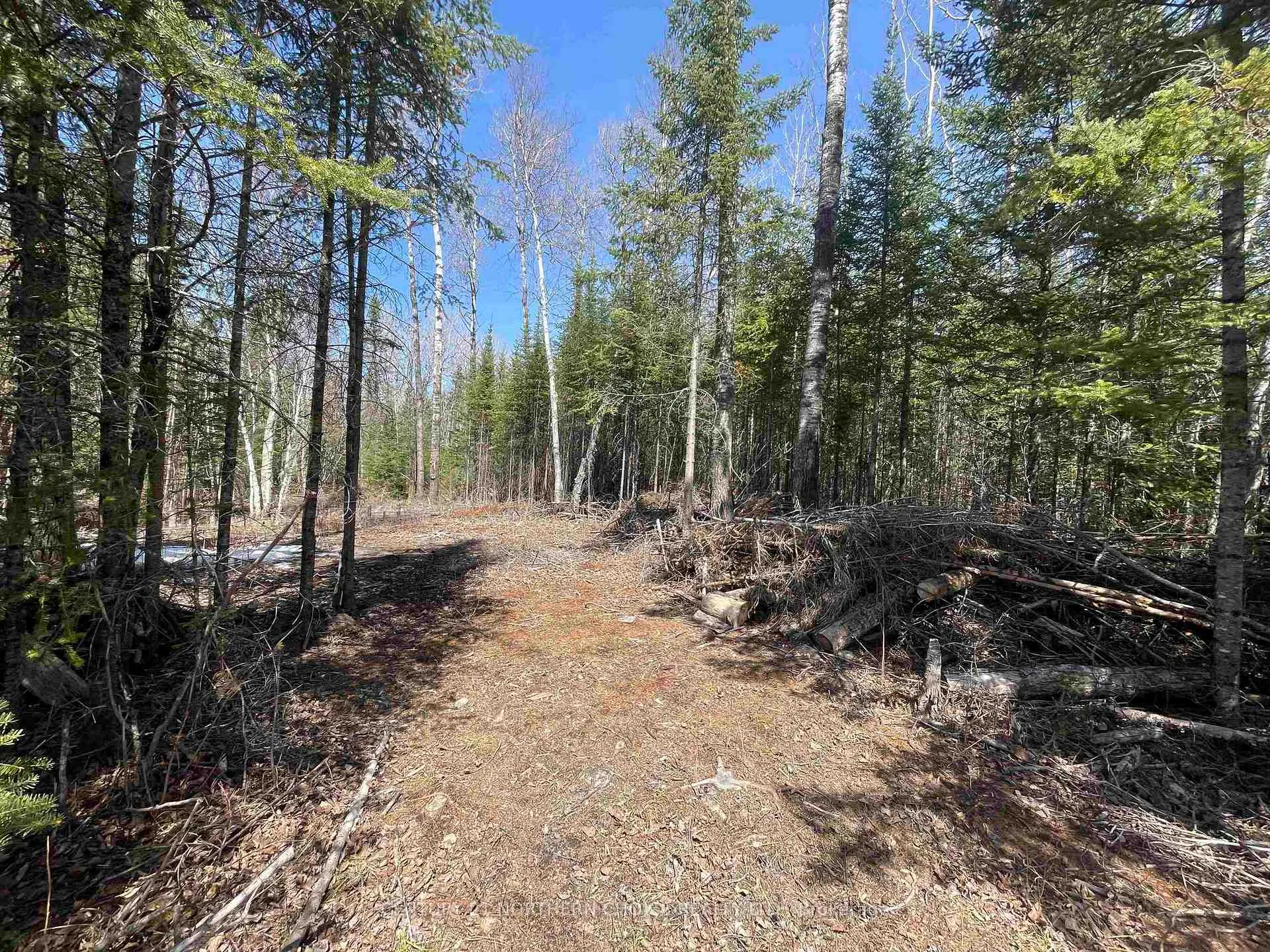 Photo 6 of 351 Thunder Lake Road, Dryden, Thunder Lake — HOMEH