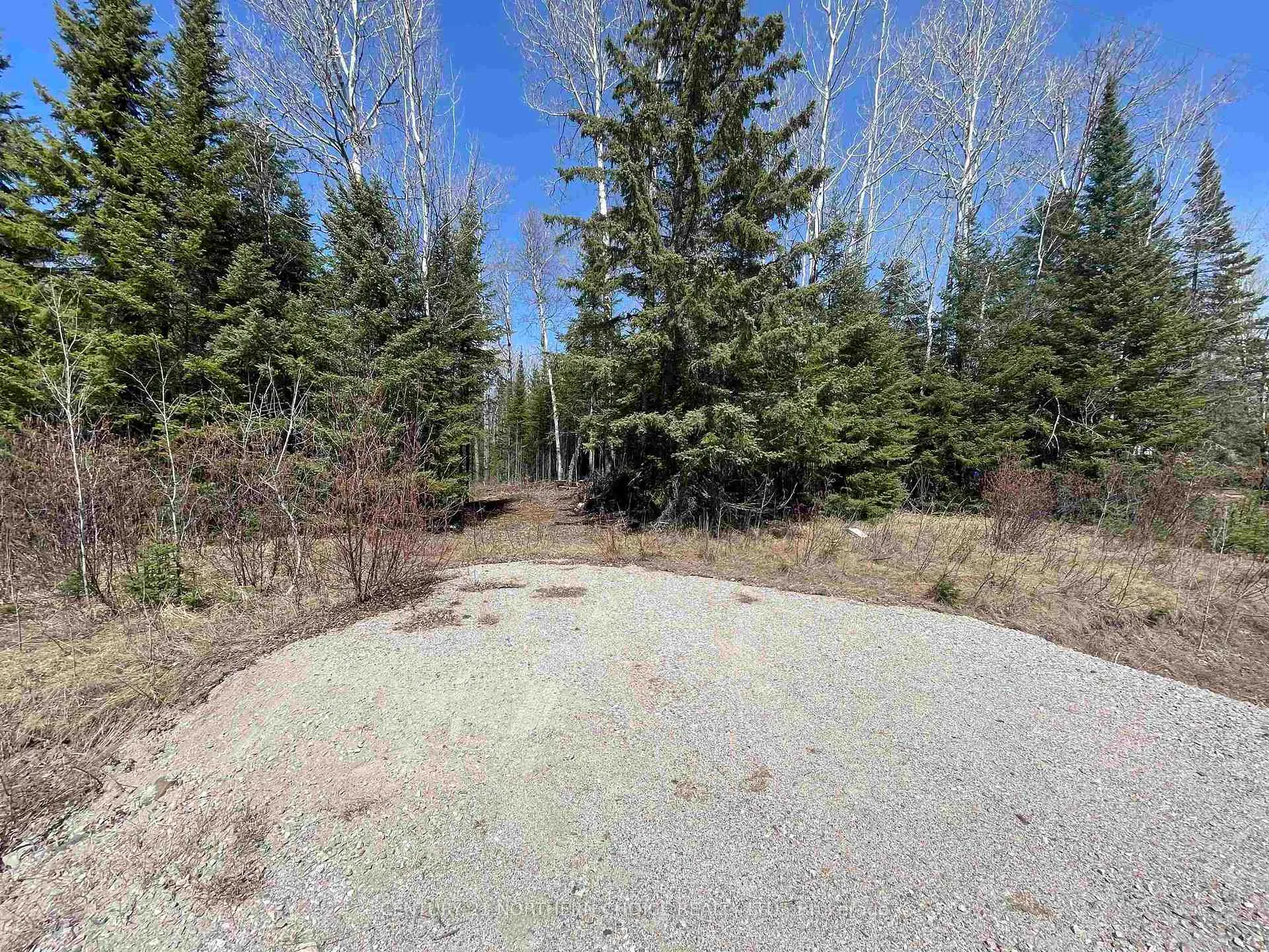 Photo 7 of 351 Thunder Lake Road, Dryden, Thunder Lake — HOMEH