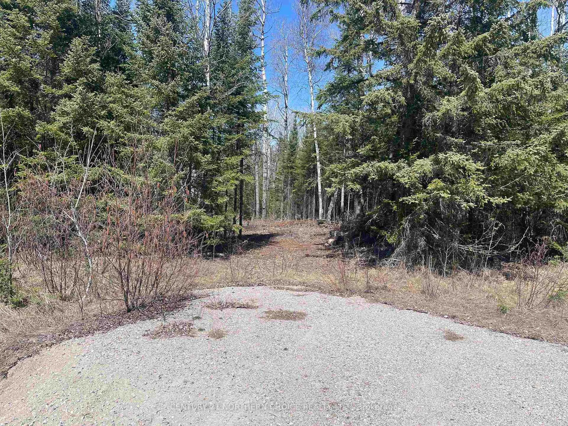Photo 8 of 351 Thunder Lake Road, Dryden, Thunder Lake — HOMEH