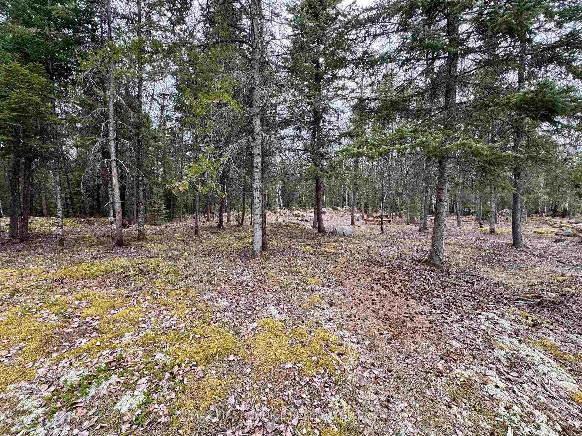 Photo of 1,2,4,5 Bennett Drive /McManus Street