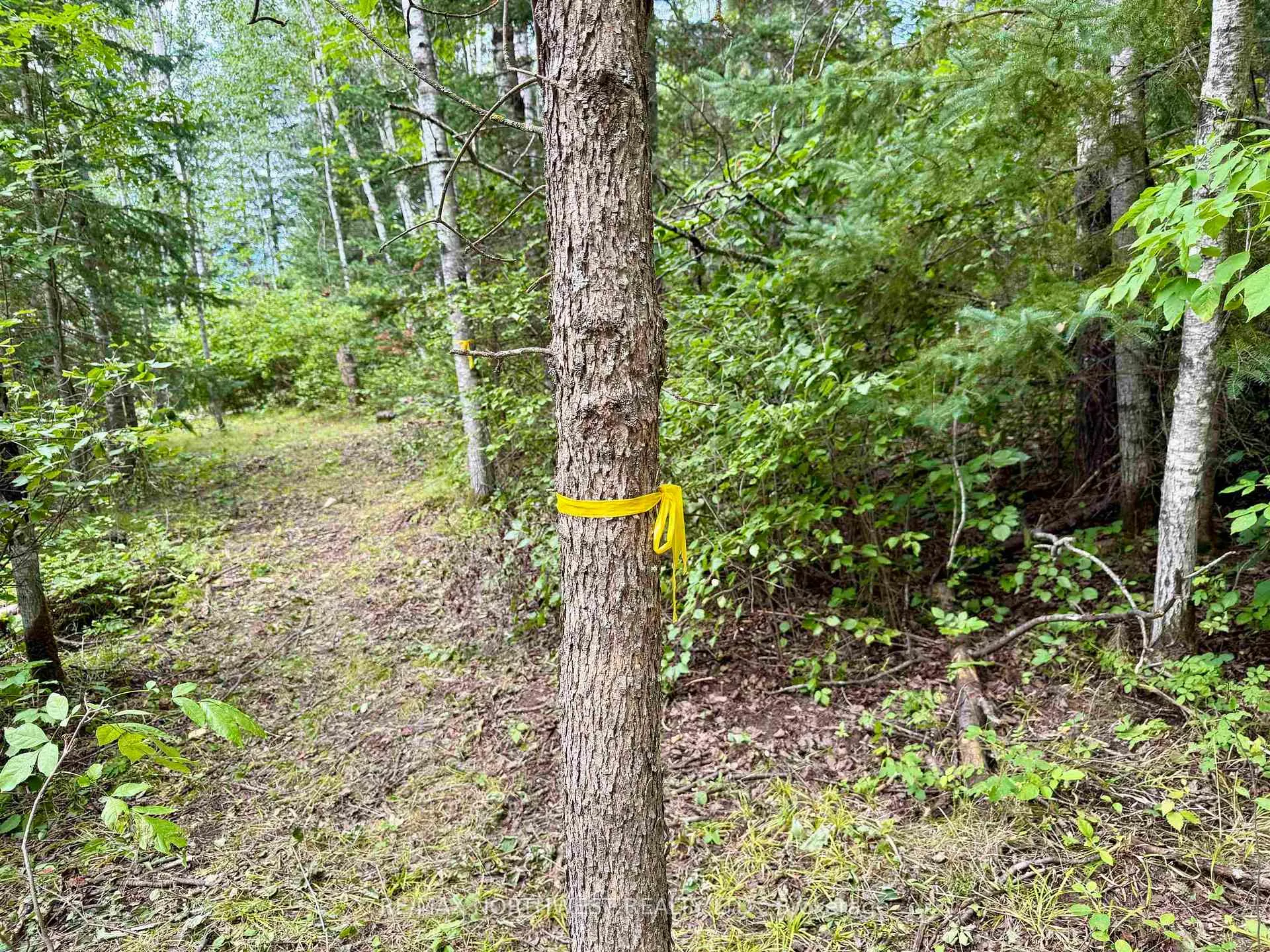 Photo 4 of 3 Battigelli Drive, Kenora, Kenora Northeast — HOMEH