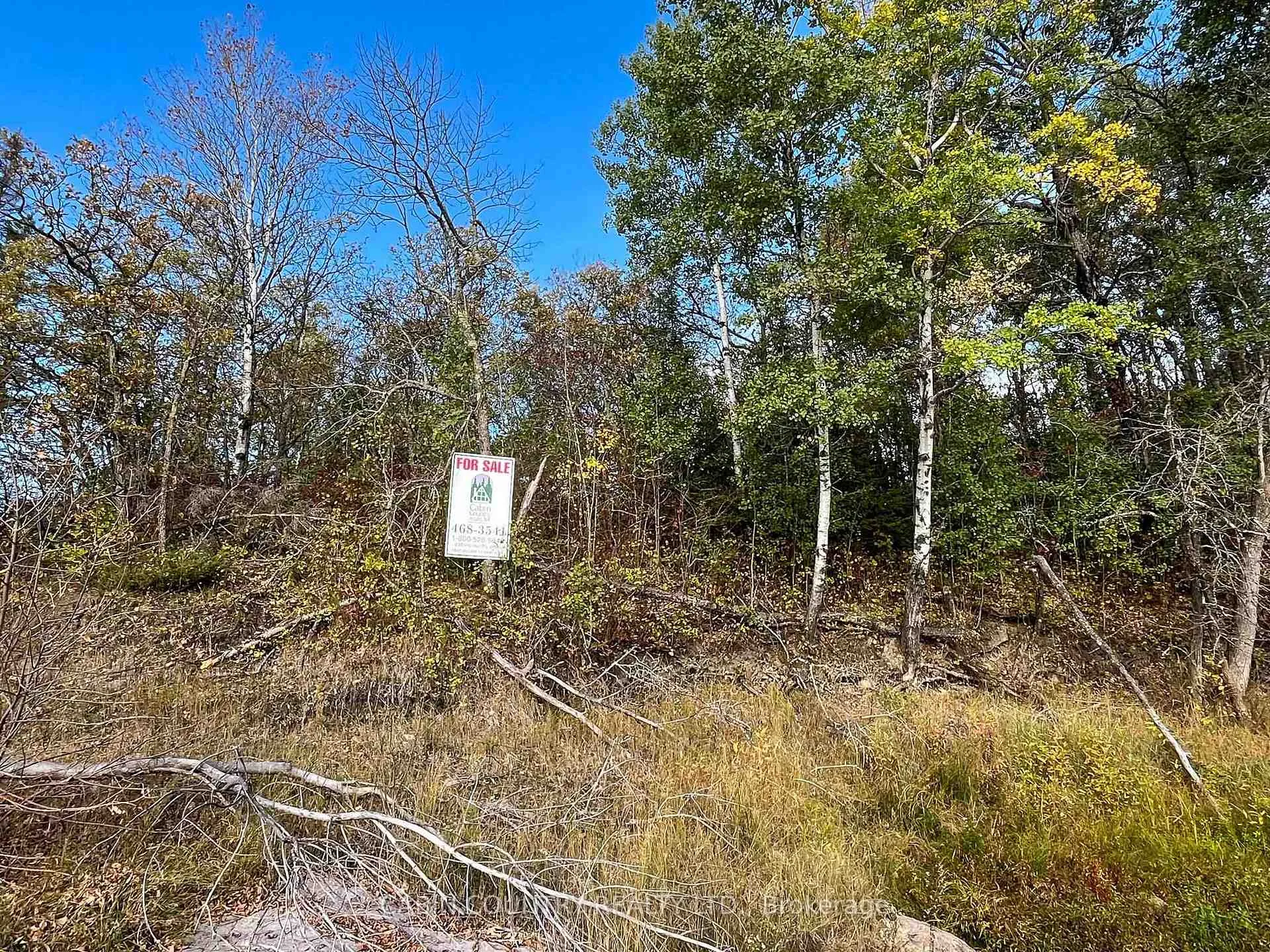 Photo 7 of 1 Locke Bay, Kenora Remote Area, Minaki-Winnepeg River — HOMEH