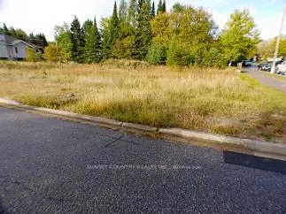 Photo 3 of 230 Sandy Beach Rd., Dryden, Milestone — HOMEH