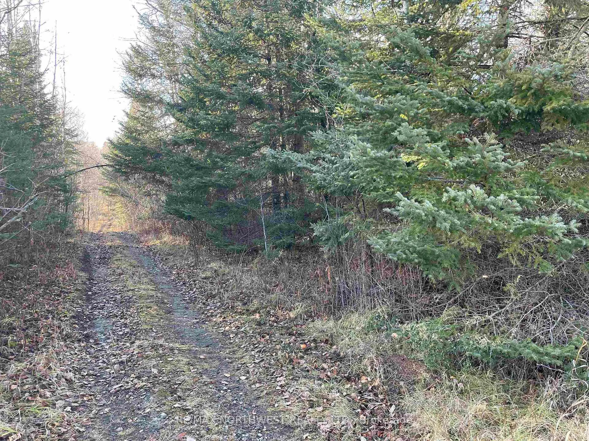 Photo 5 of 99 Shelley Lane, Dryden, Thunder Lake — HOMEH