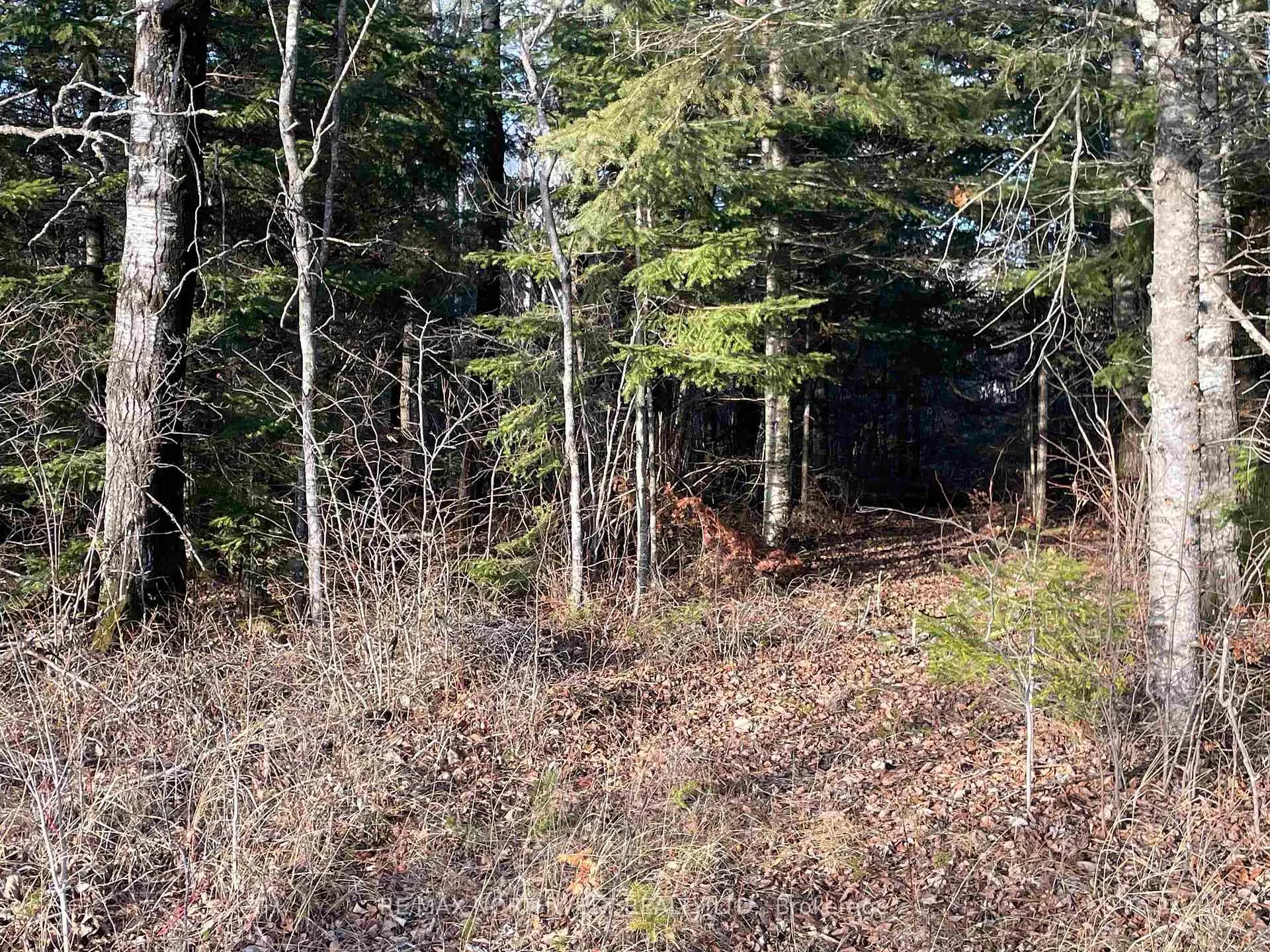 Photo 7 of 99 Shelley Lane, Dryden, Thunder Lake — HOMEH