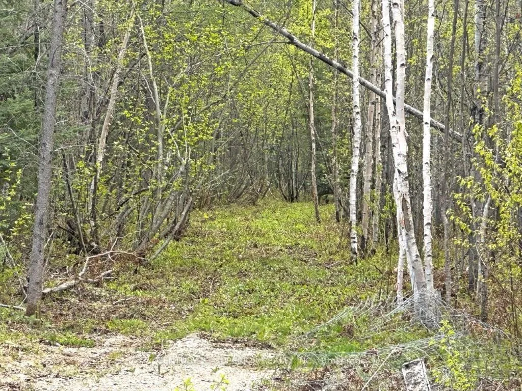 Photo 27 of 1191 Gonyou Road, Thunder Bay Remote Area — HOMEH