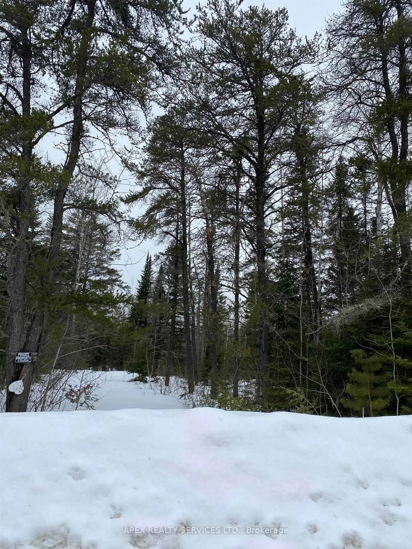 Photo 9 of 925 Hwy 593, Neebing, Pardee — HOMEH