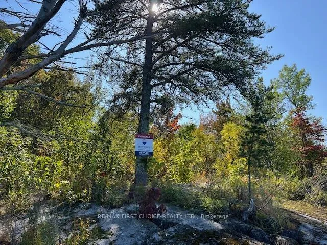 Photo 18 of G 734 Rainy Lake, First Nations — HOMEH