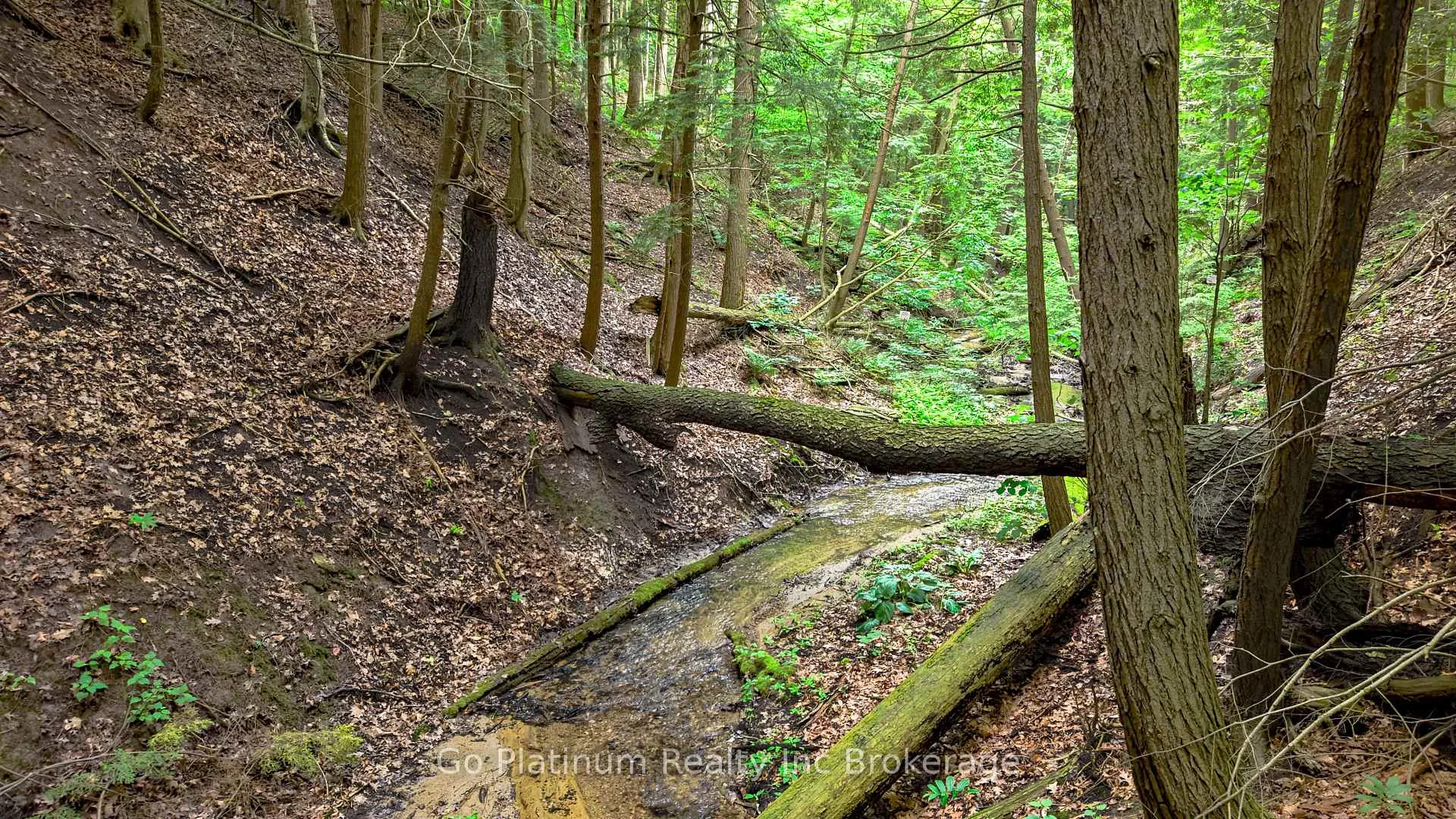 Photo 42 of 461 Hwy 19, Tillsonburg — HOMEH