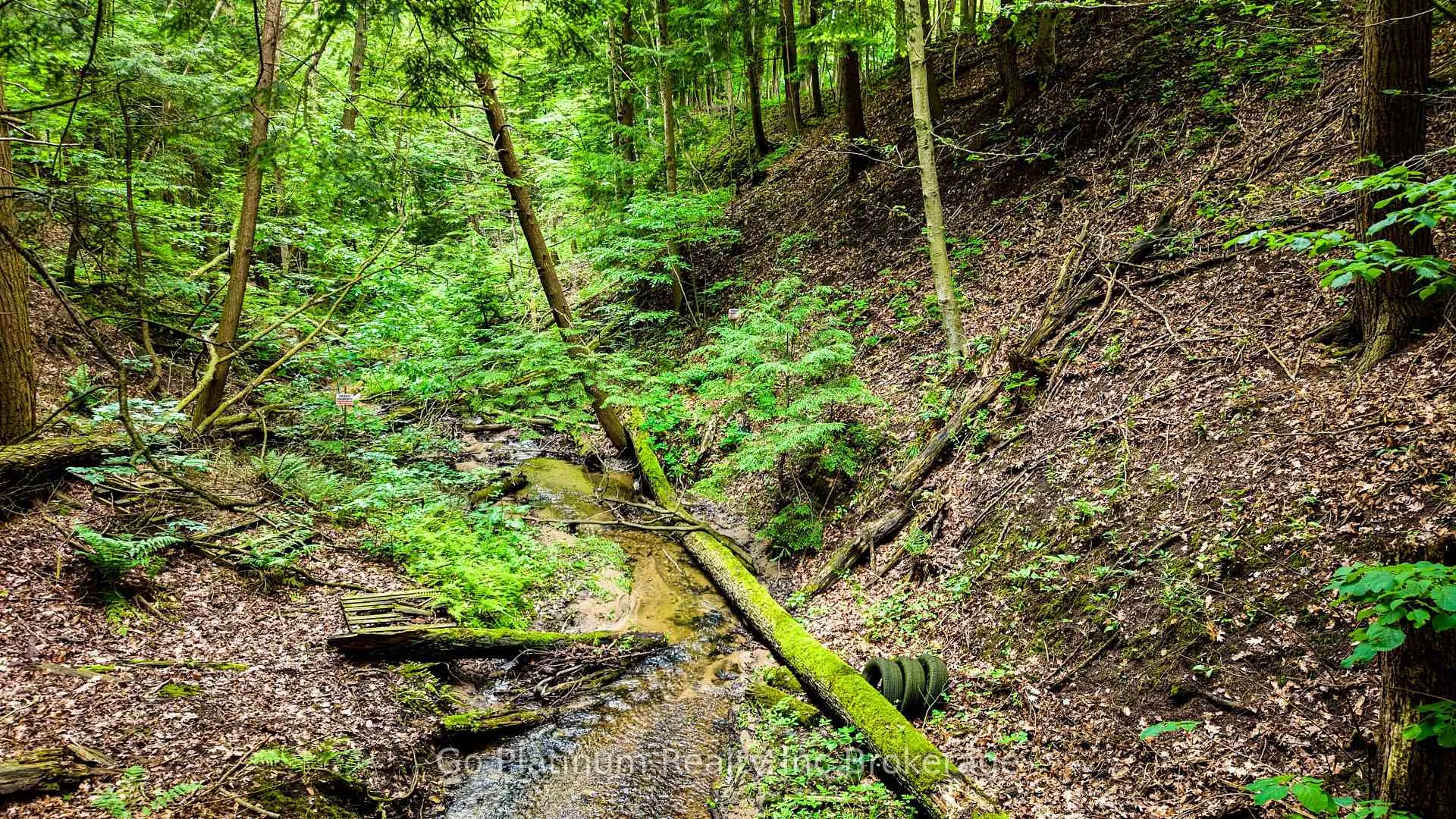Photo 43 of 461 Hwy 19, Tillsonburg — HOMEH