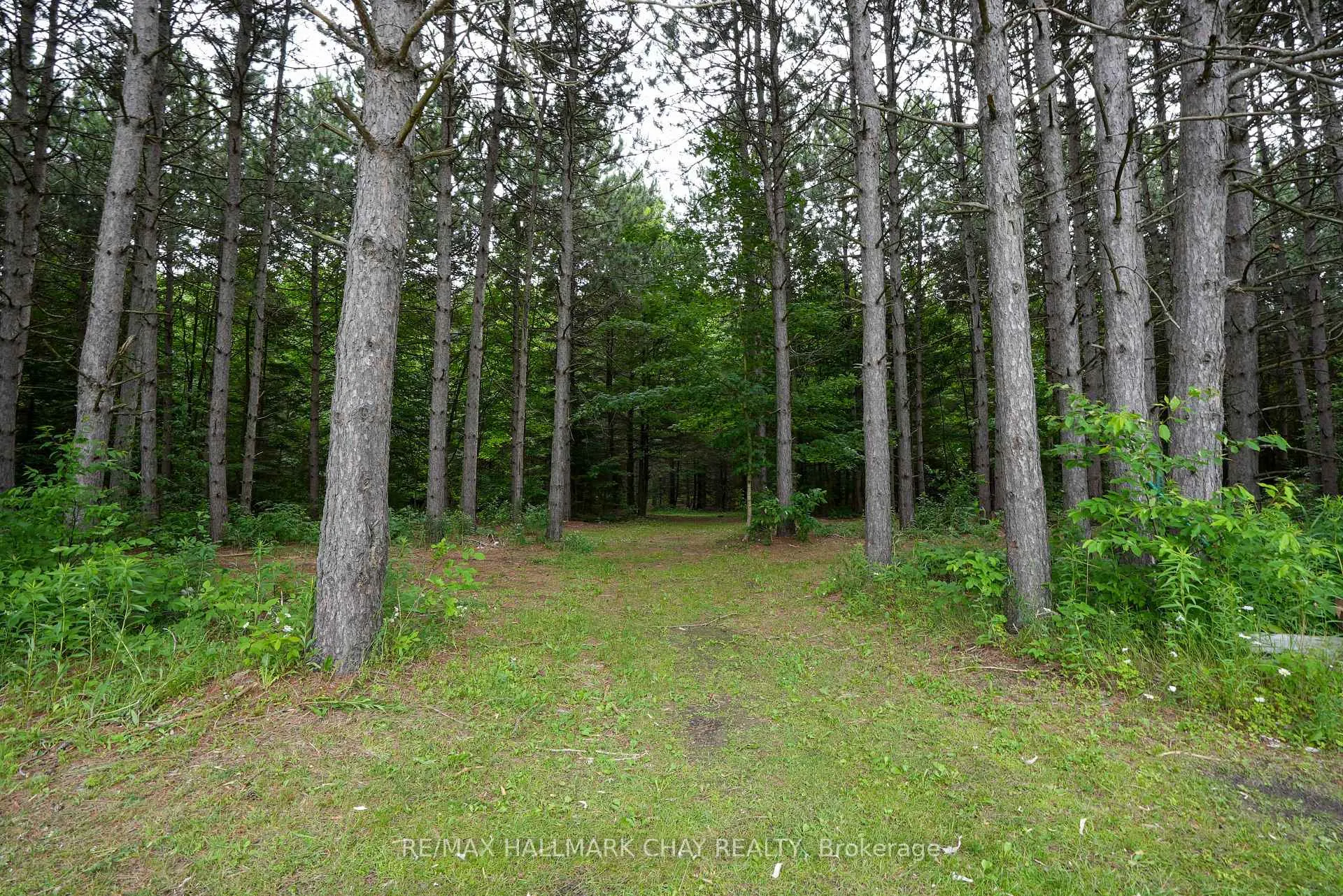 Photo 36 of 13895 County Rd 27, Springwater, Rural Springwater — HOMEH