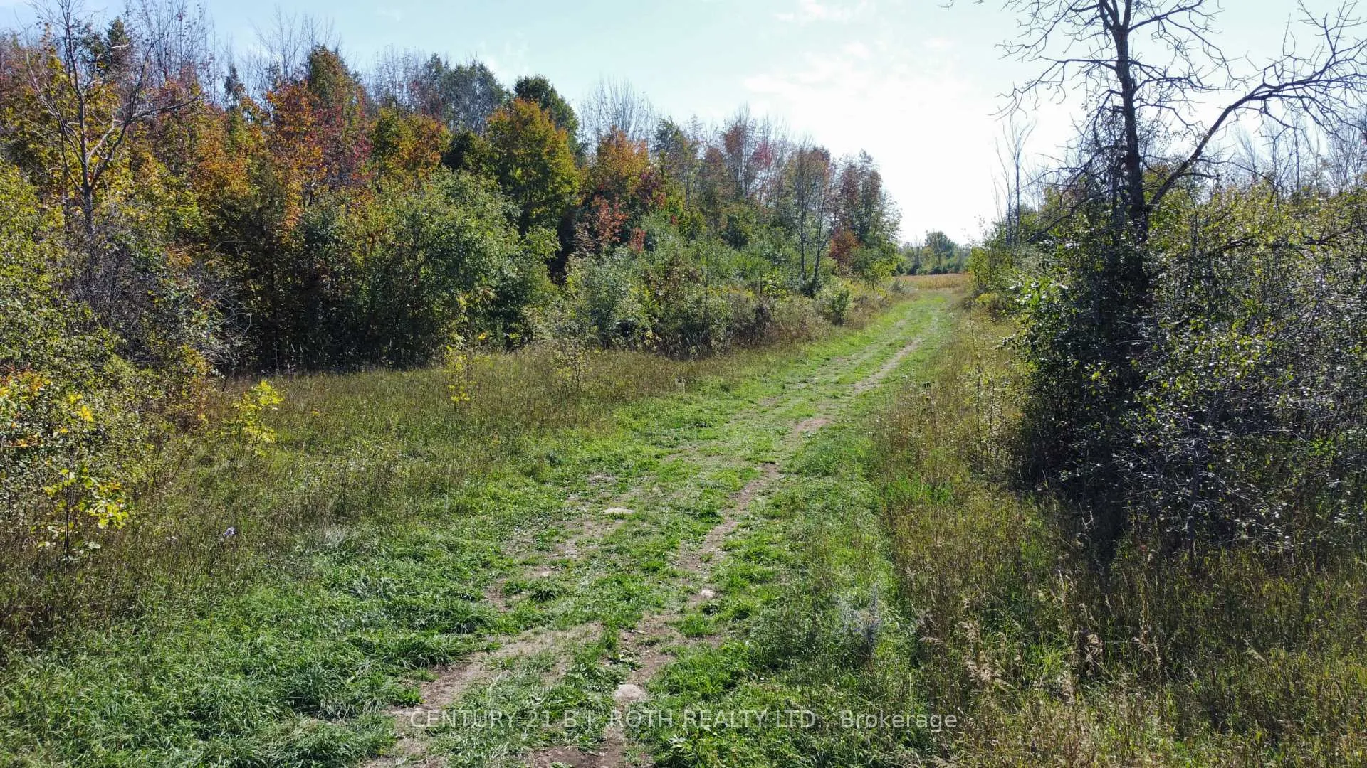 Photo 7 of 1273 Ramara Rd 47, Ramara, Rural Ramara — HOMEH