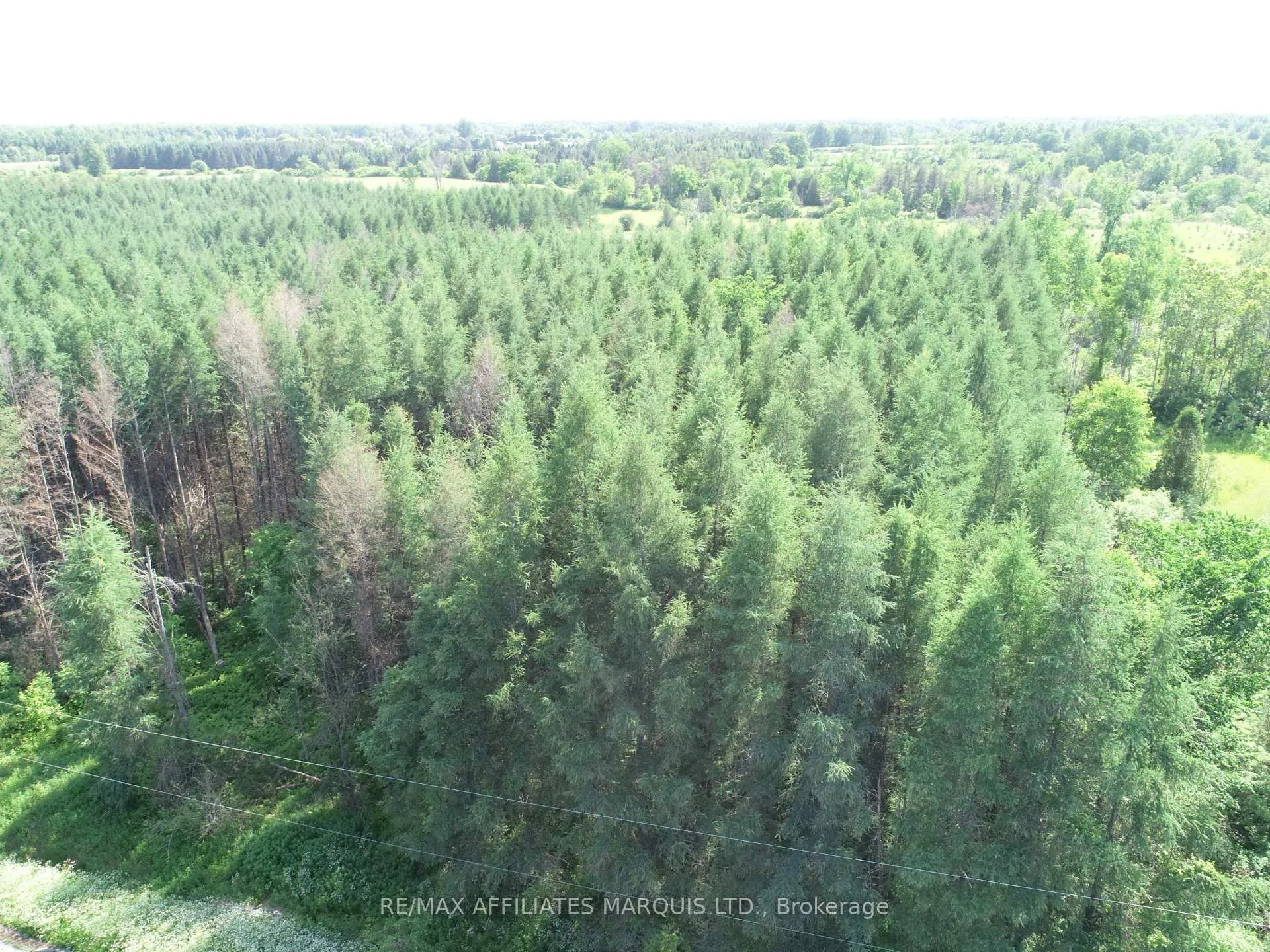 Photo 7 of LOT Dornie Road, North Glengarry, North Glengarry (Kenyon) Twp — HOMEH