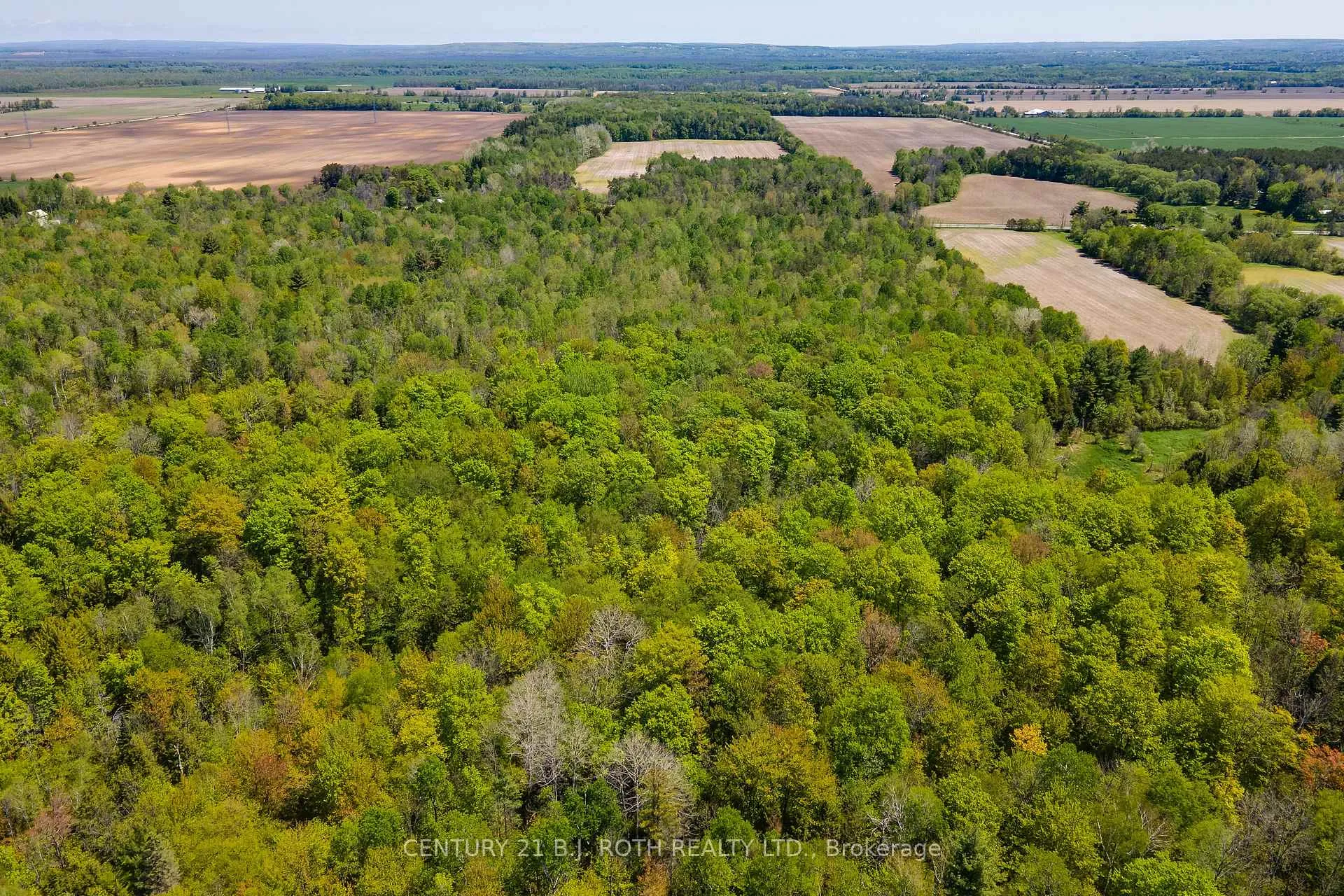 Photo 4 of 000 12/13 Side Road, Clearview, Rural Clearview — HOMEH