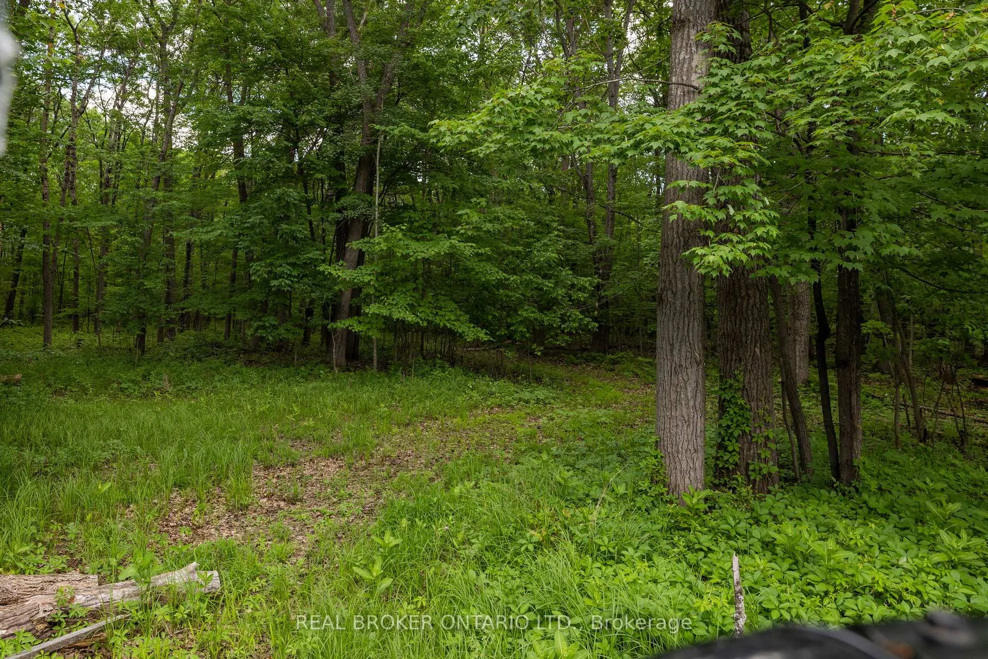 Photo 45 of 929 Bayview Drive, Ottawa, Constance Bay — HOMEH