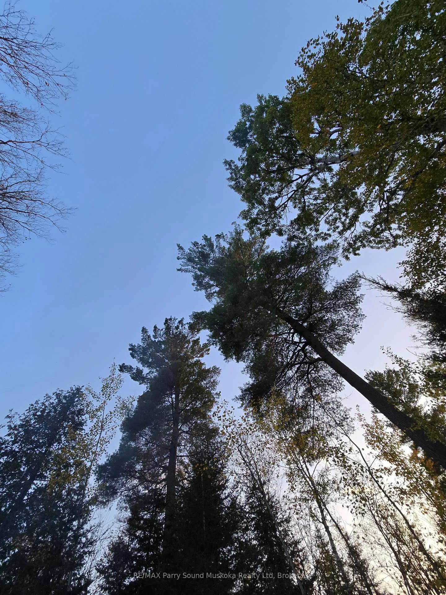Photo 18 of 93 White Pine Road, Unorganized Townships, Tilden Lake — HOMEH